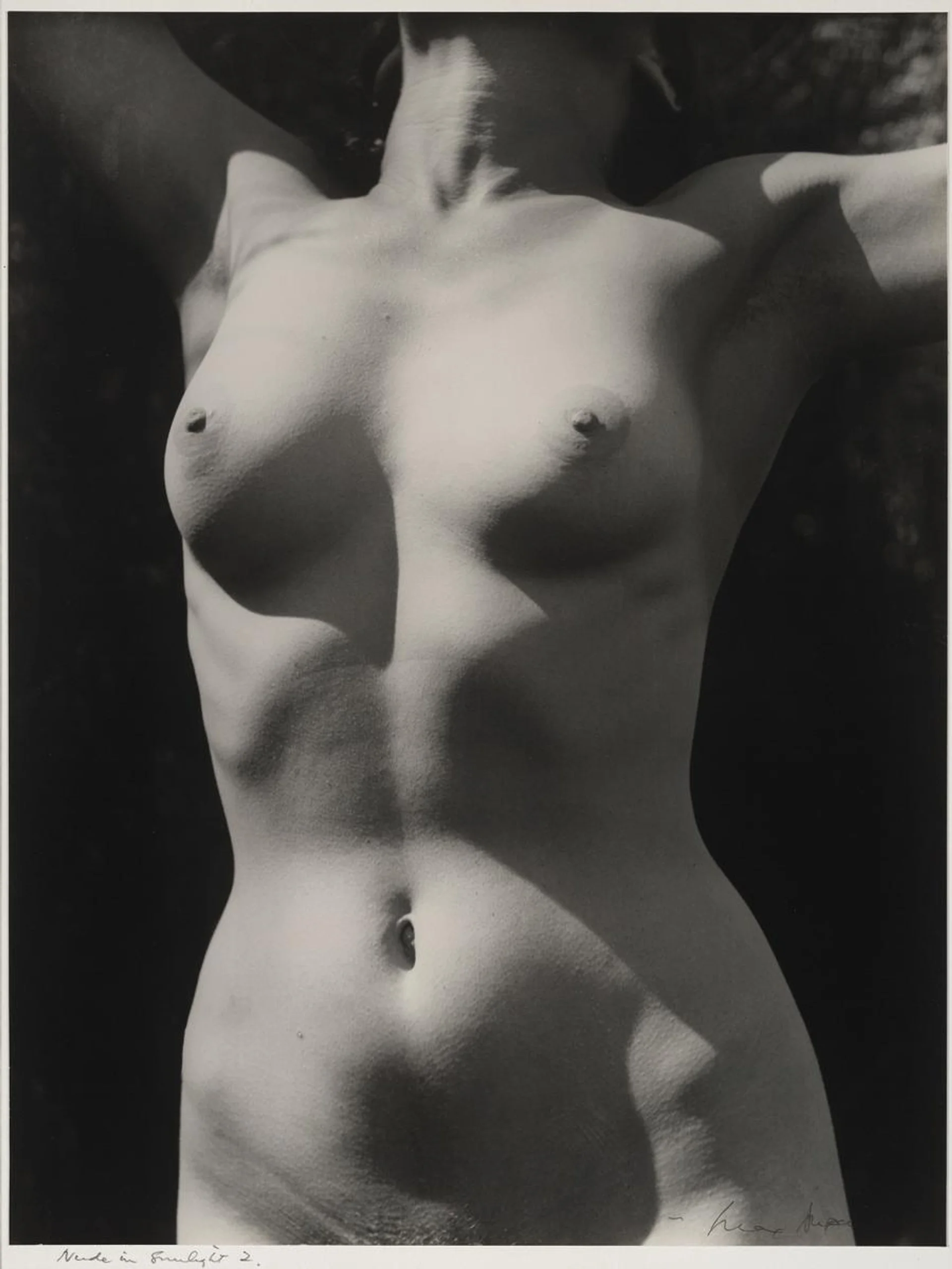 TORSO IN SUNLIGHT