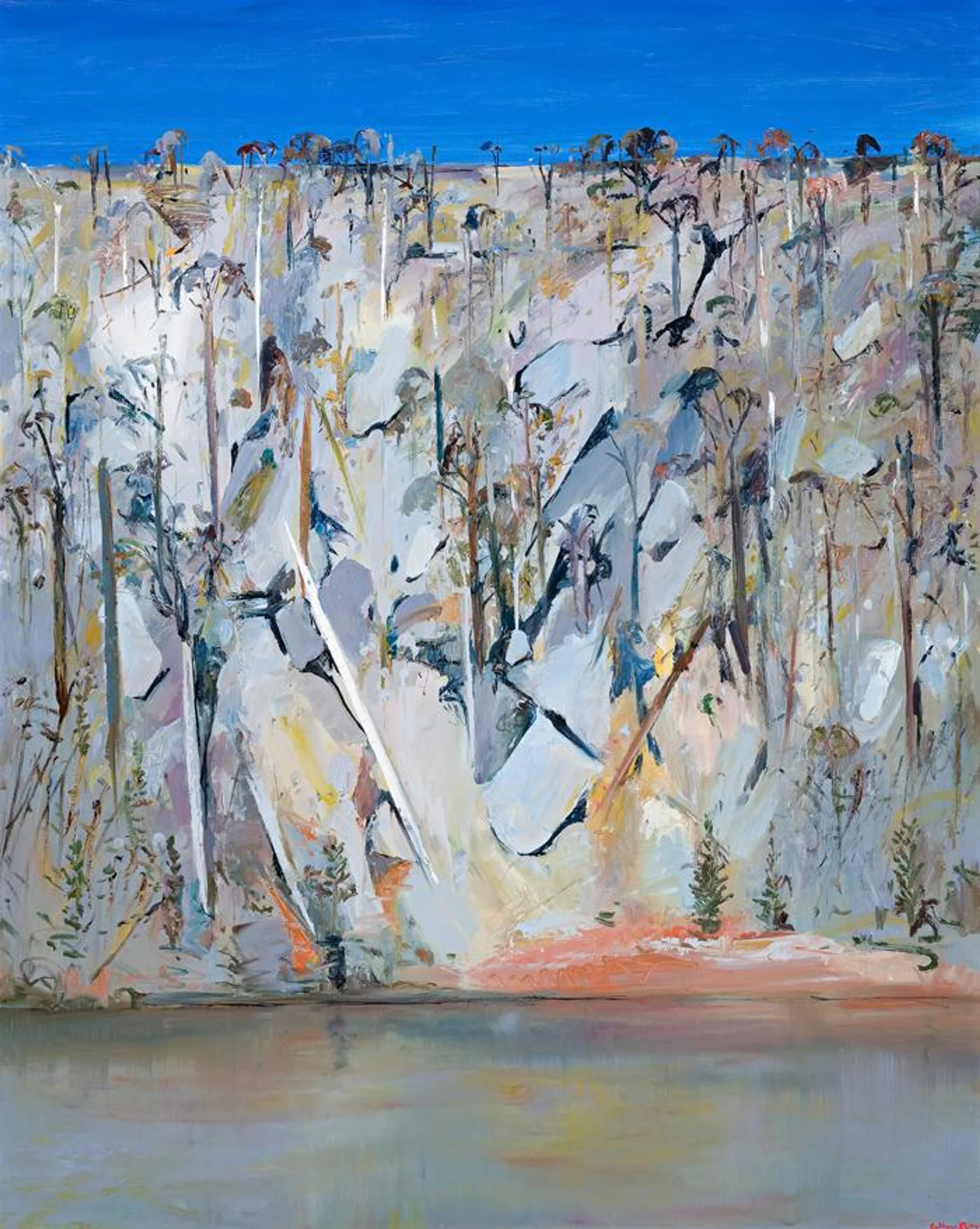 SHOALHAVEN RIVERBANK
