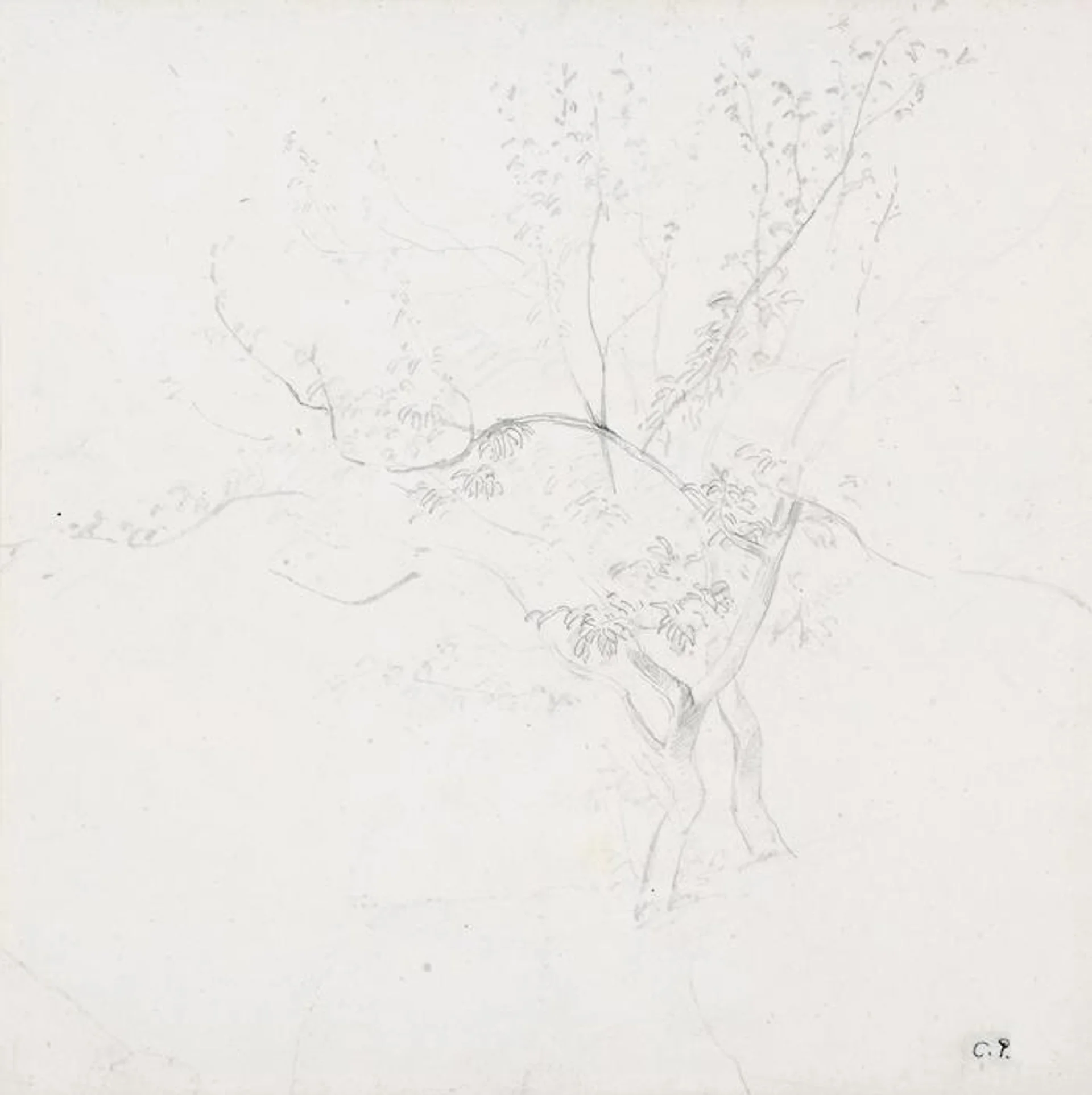 LA FEUILLETTE, PARIS