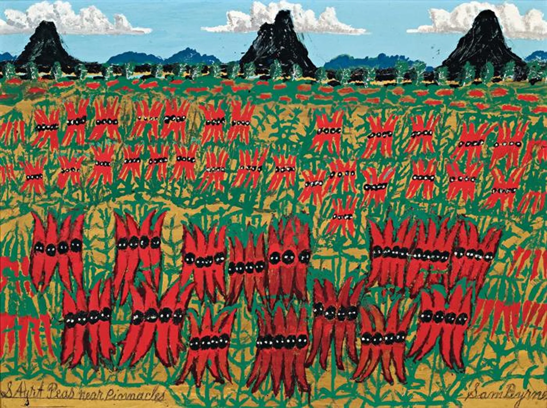 STURT PEAS NEAR PINNACLES