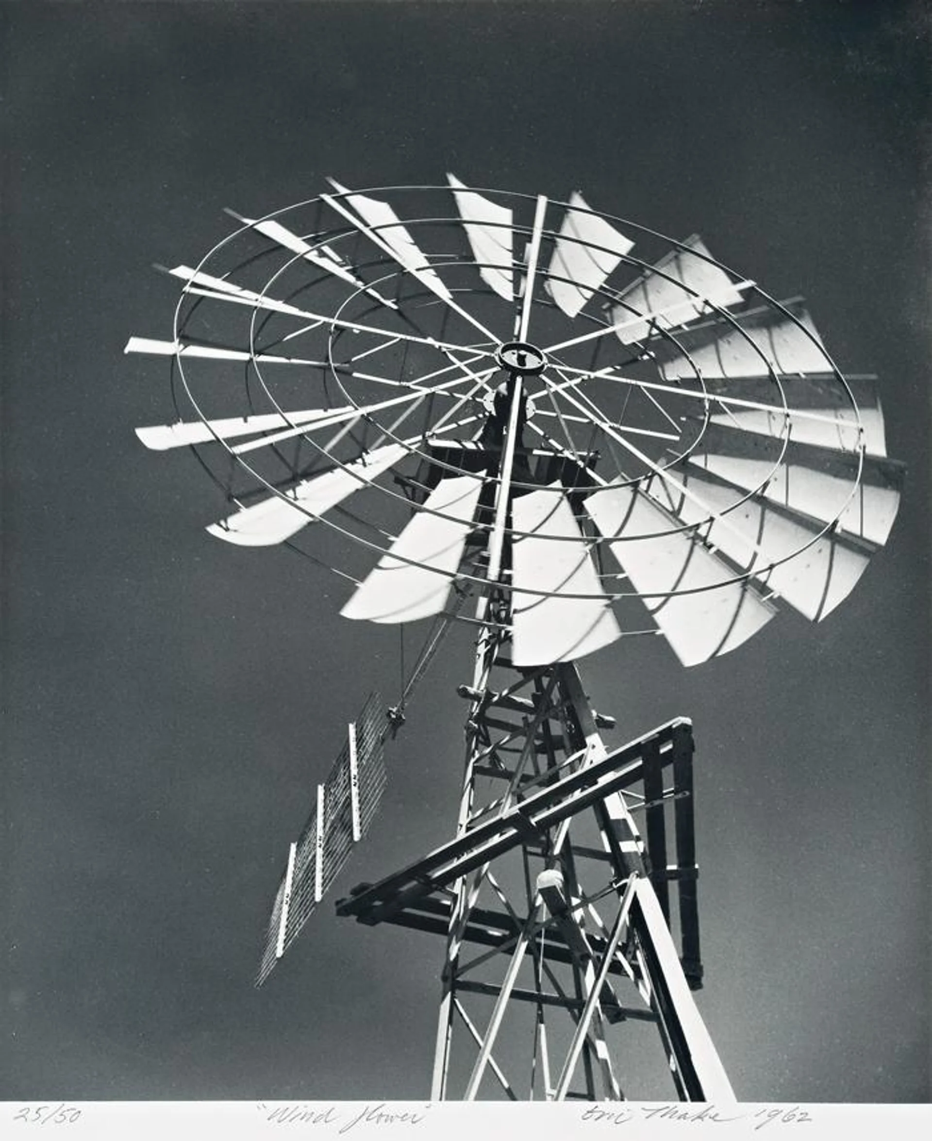 WIND FLOWER