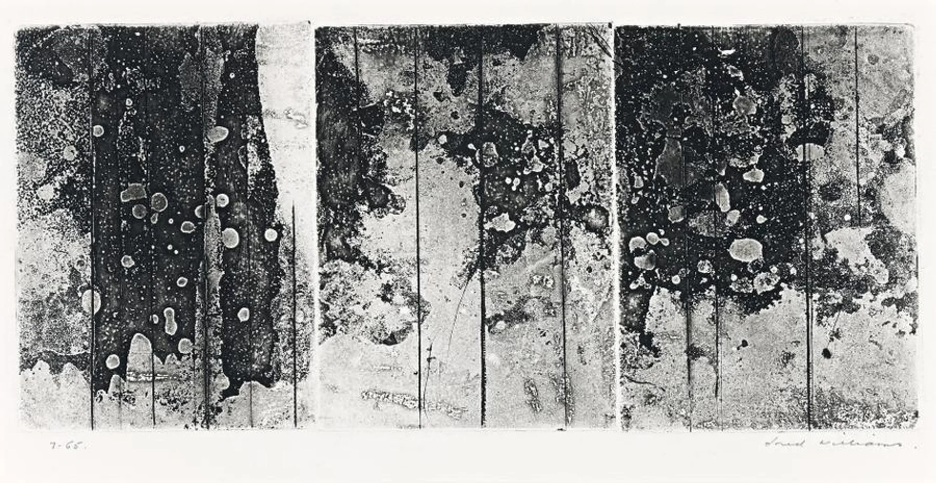 LANDSCAPE TRIPTYCH NO. 1