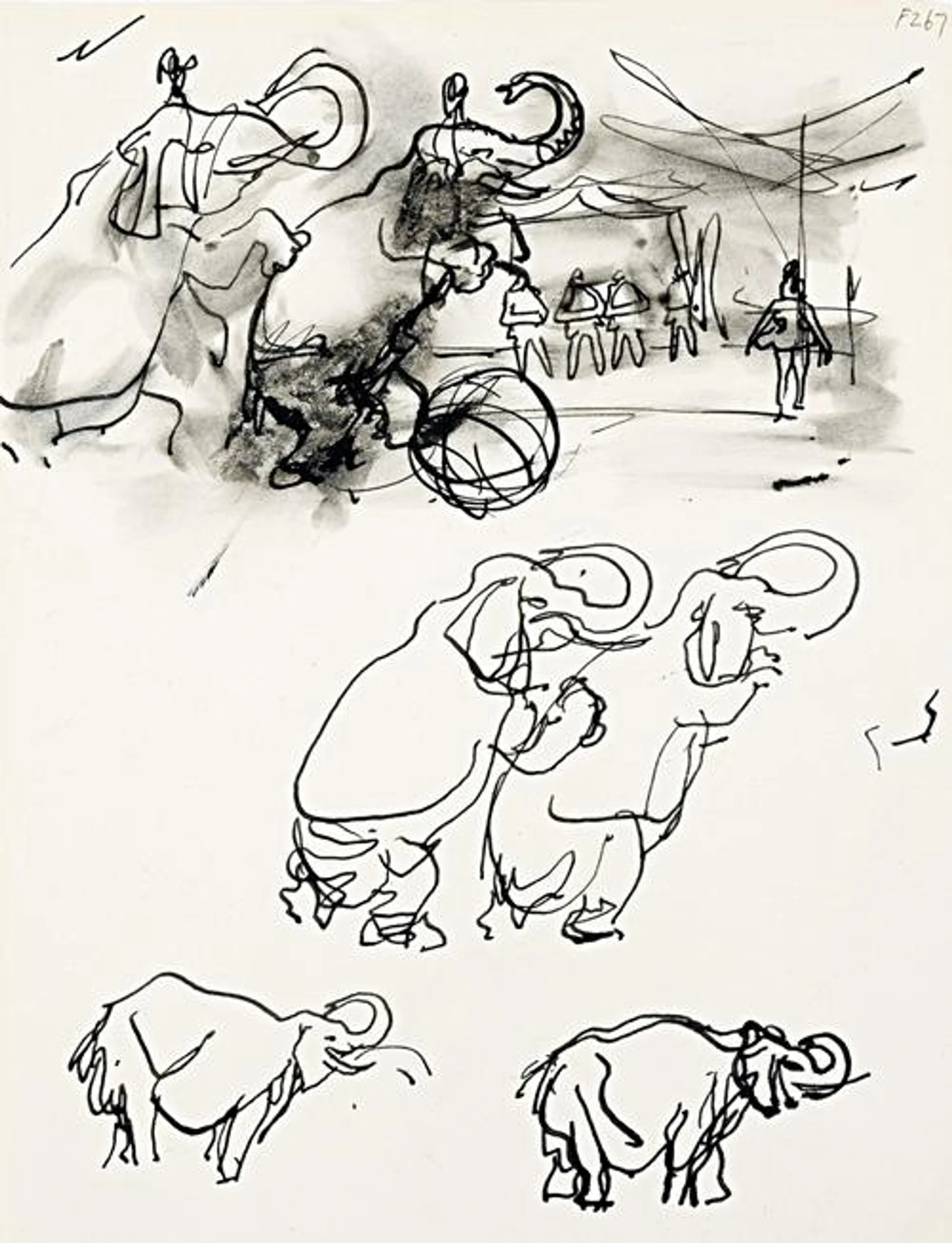 GROUP OF SEVEN ANIMAL STUDIES