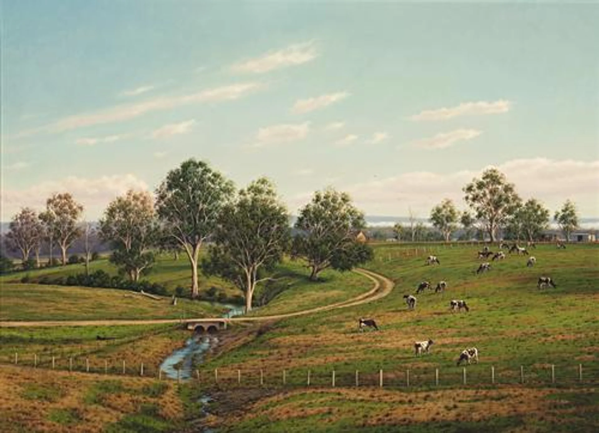 CATTLE FARM NEAR WILTON, NSW