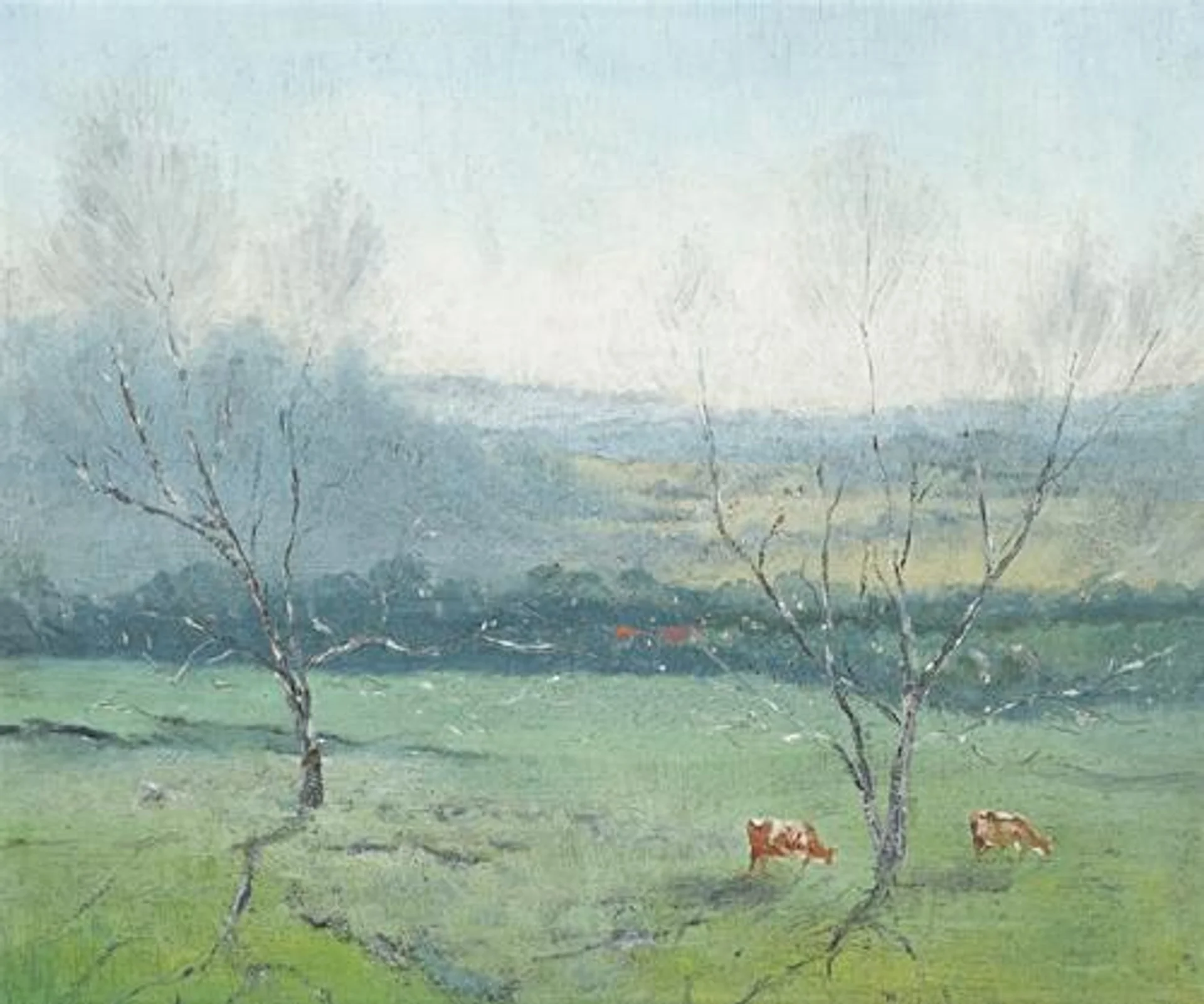 COWS IN MORNING LIGHT