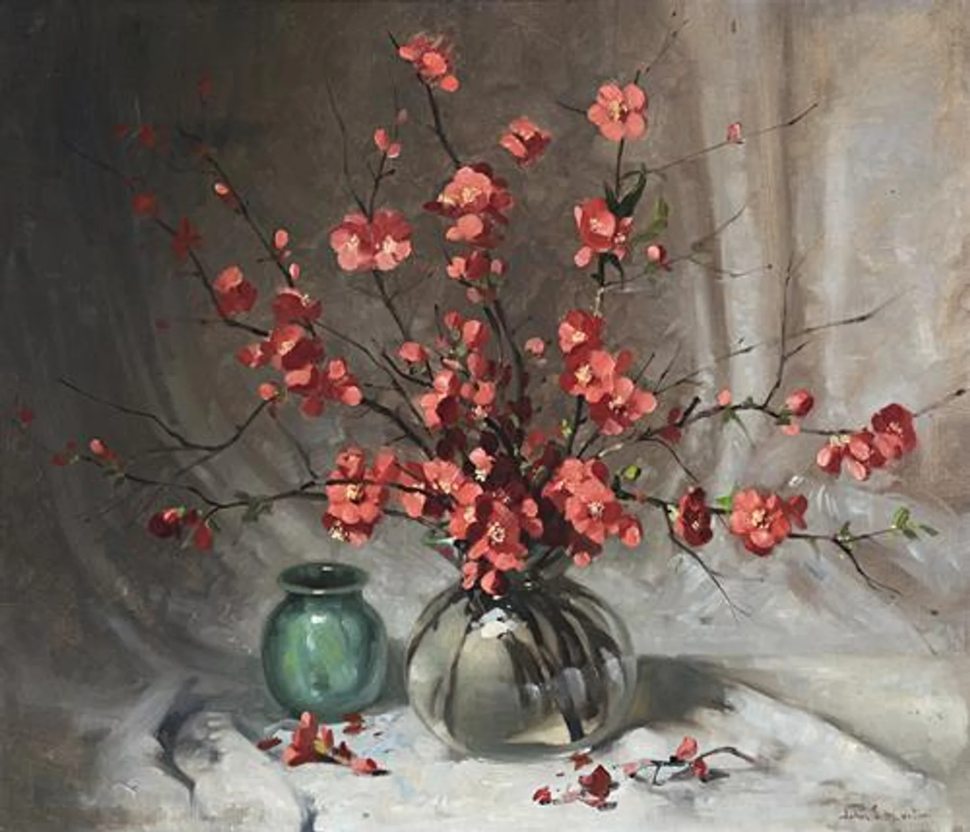 RED JAPONICA