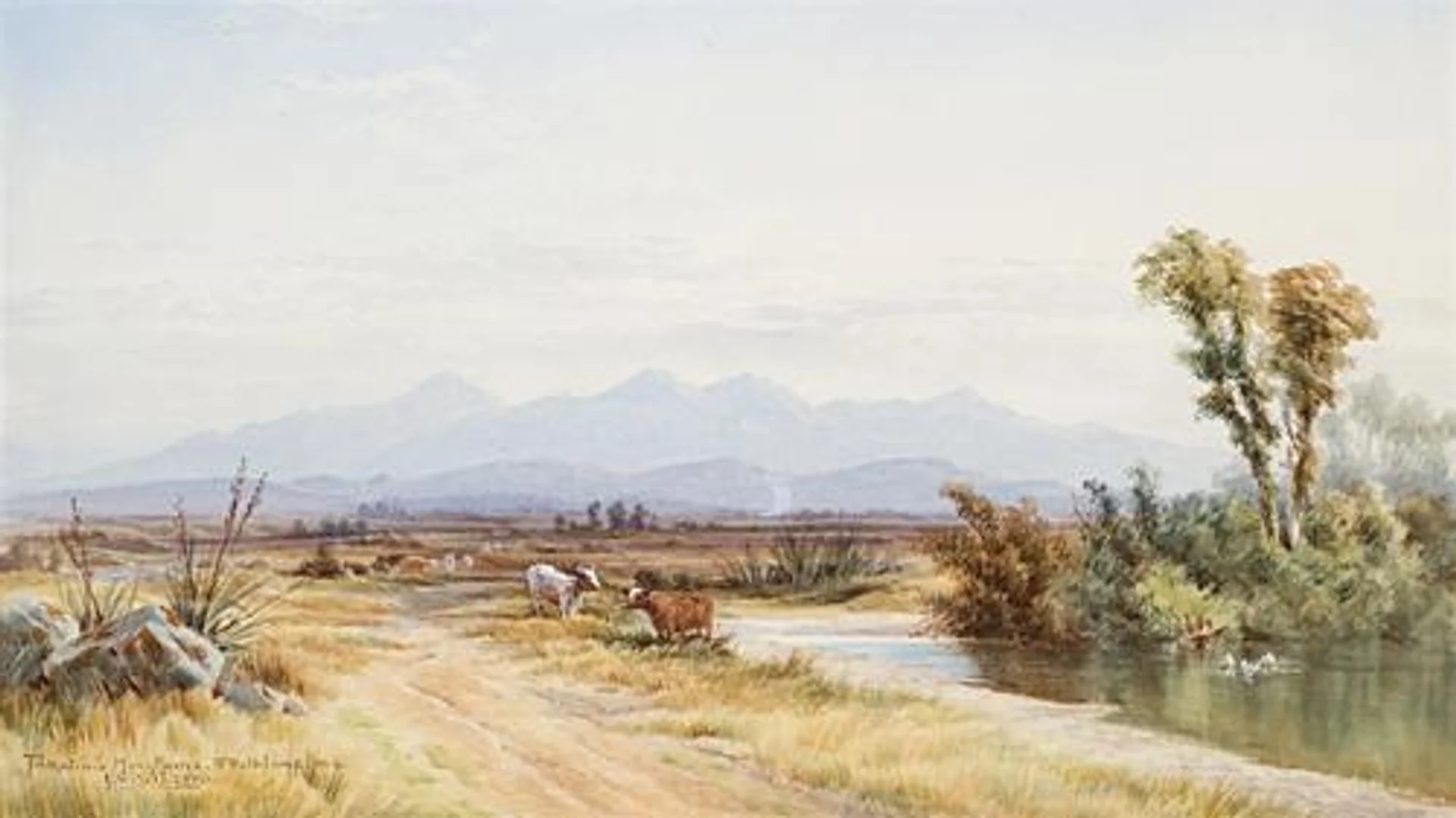 TAKATIMA MOUNTAINS, SOUTH ISLAND, NEW ZEALAND