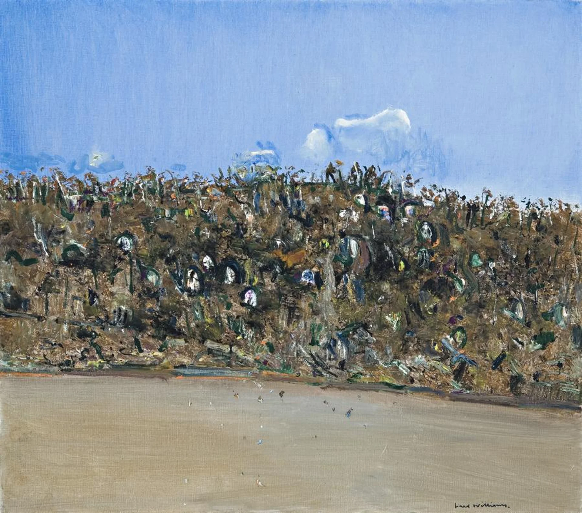 YOU YANGS LANDSCAPE