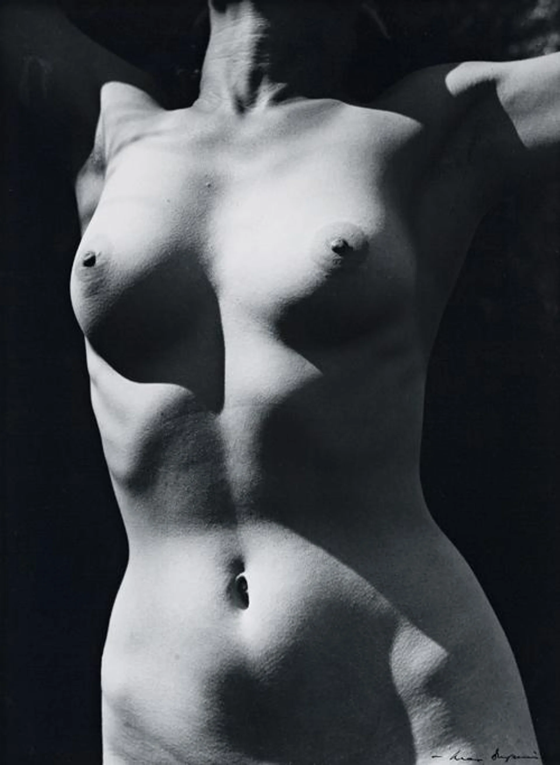 TORSO IN SUN II