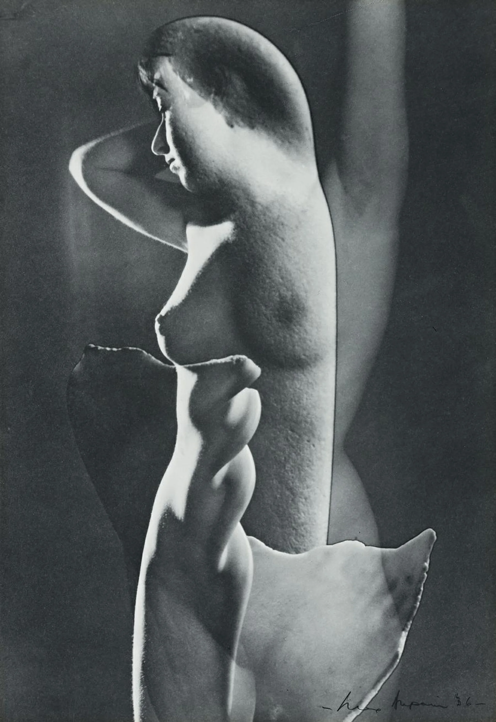 IMPASSIONED CLAY