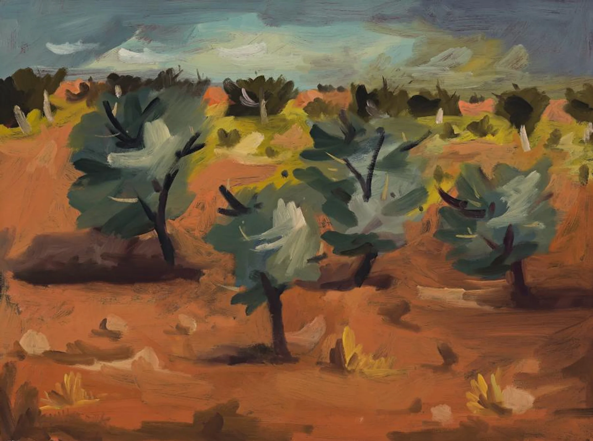 SUNDOWN NEAR WARRAWAGINE
