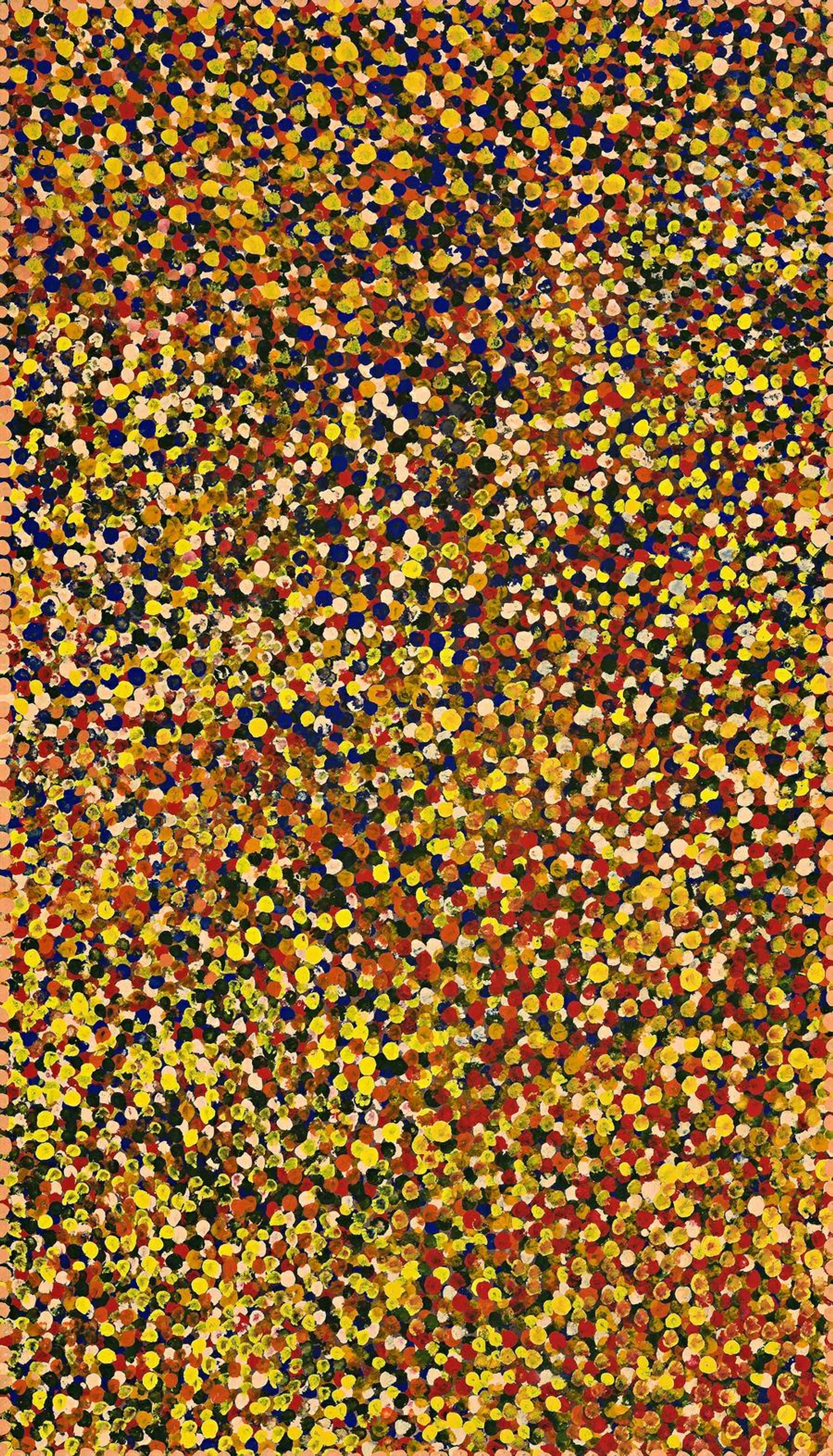 A CARPETED DESERT