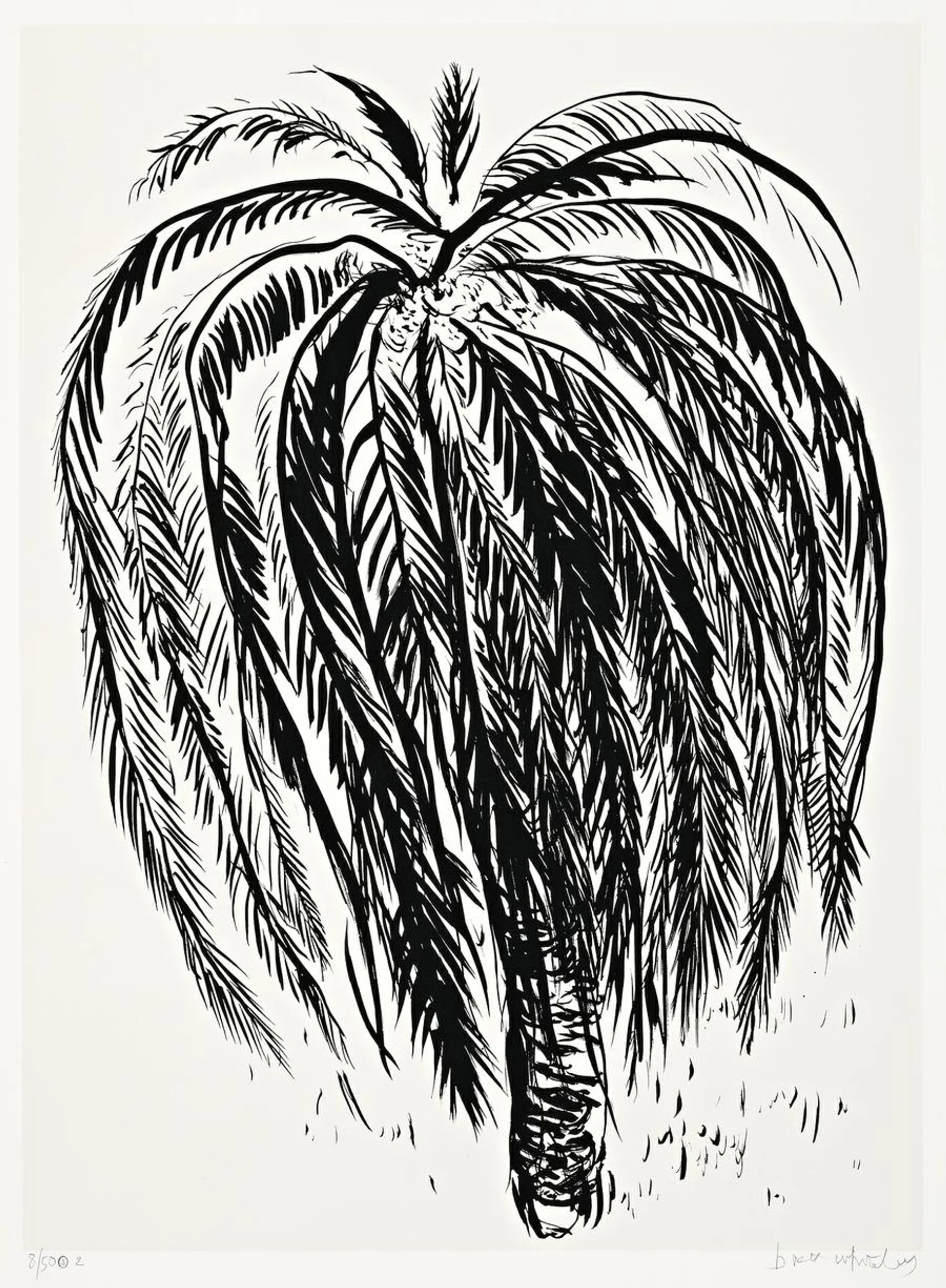 PALM TREE 2