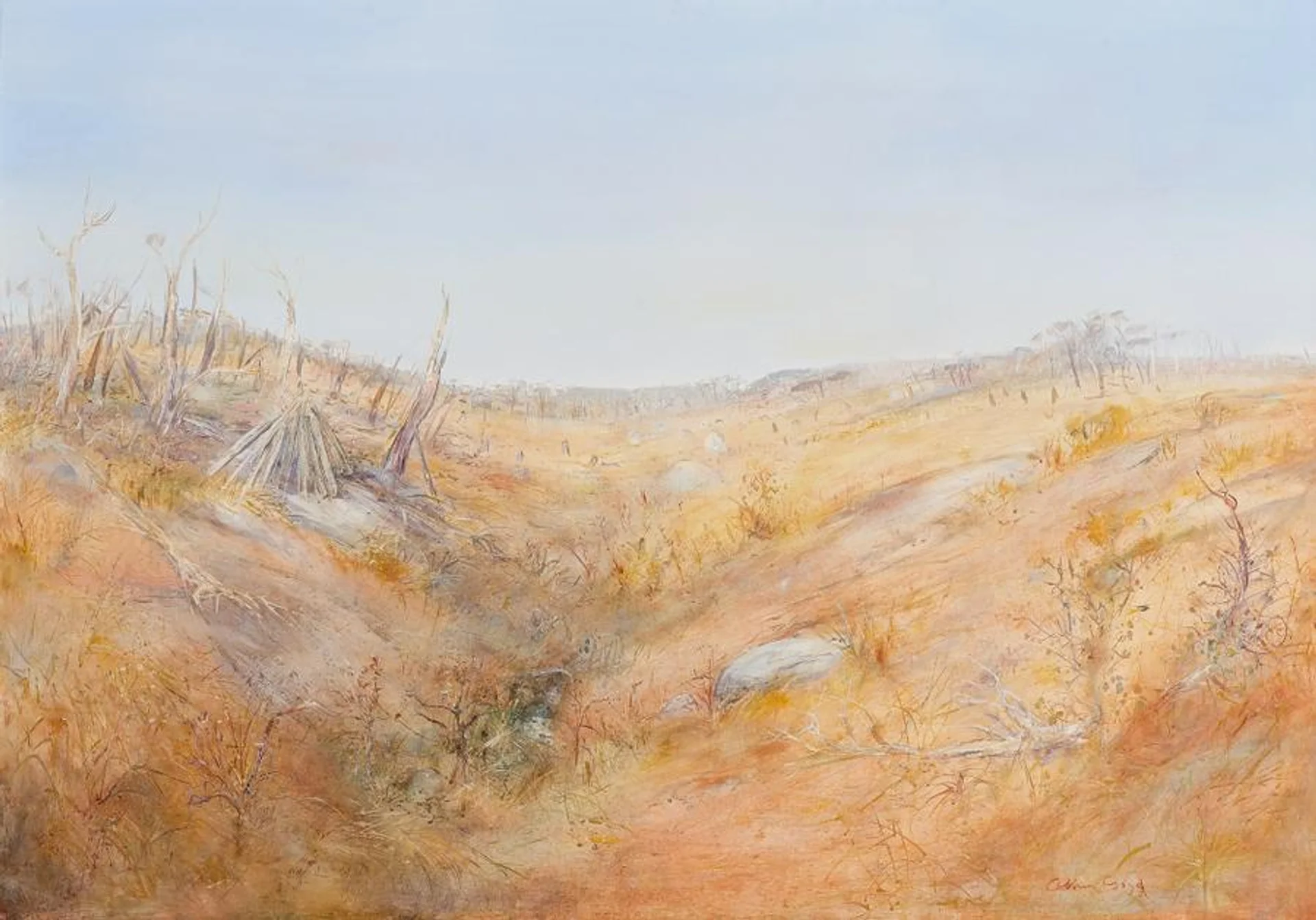 WIMMERA LANDSCAPE