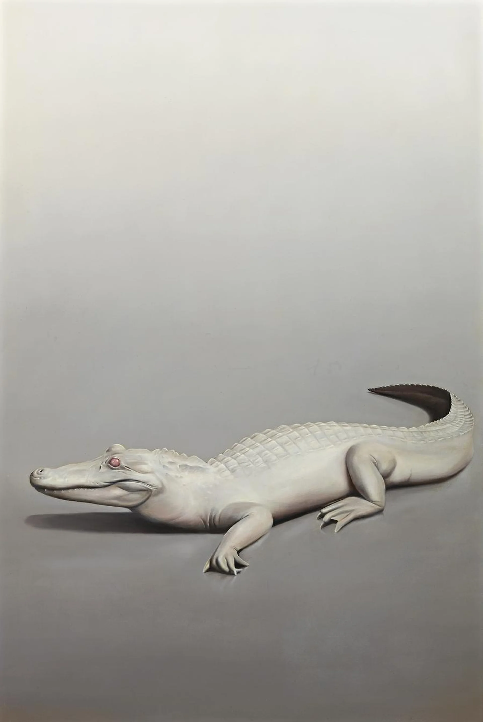 ALBINO MODUS PONENS AND LOWERS