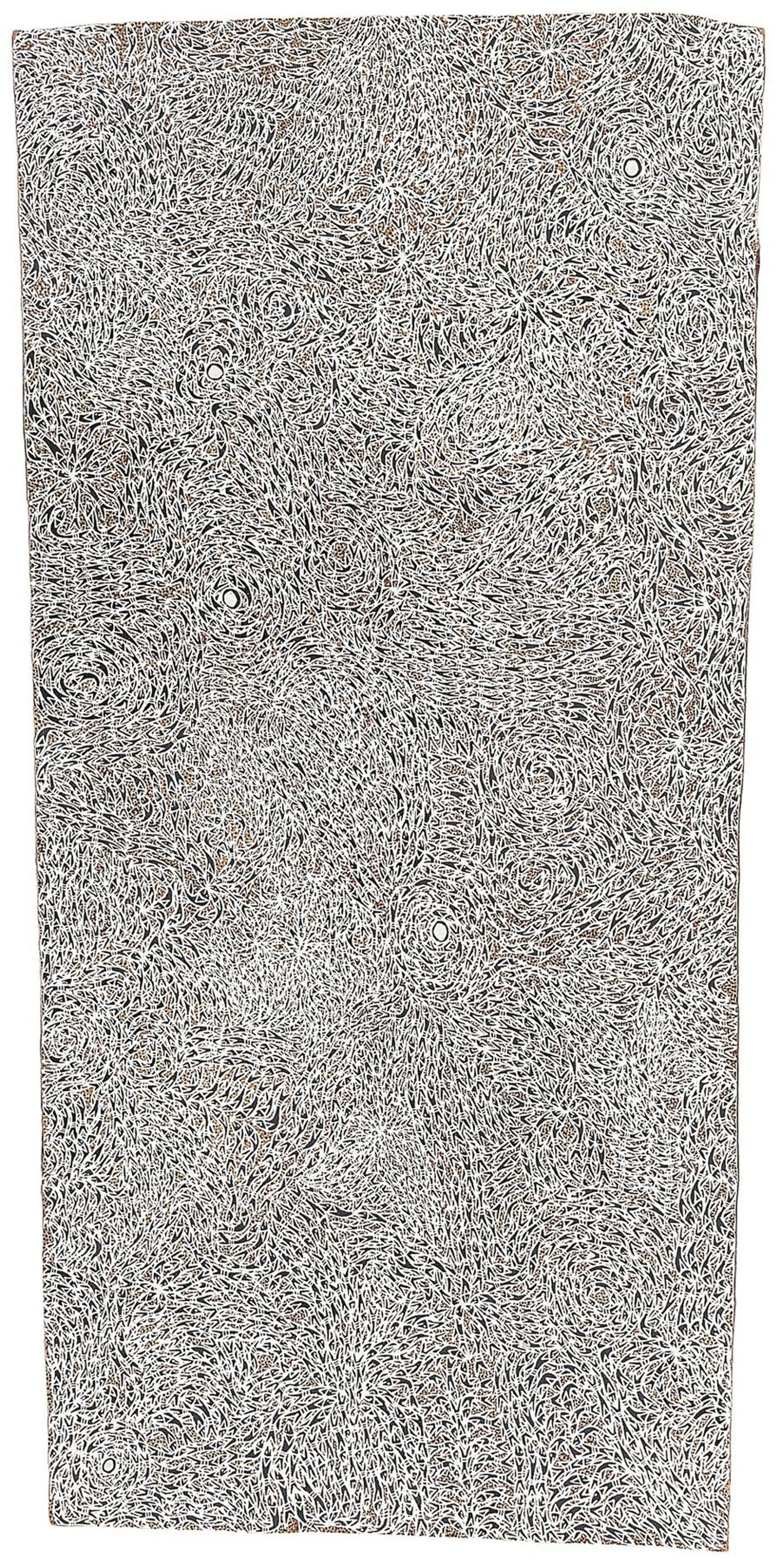 UNTITLED (WAWIRRITJPAL)