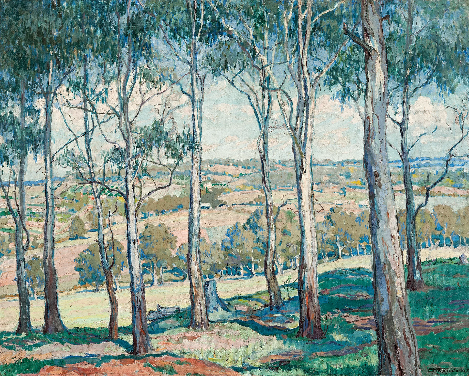 THROUGH THE GUM TREES, TOONGABBIE