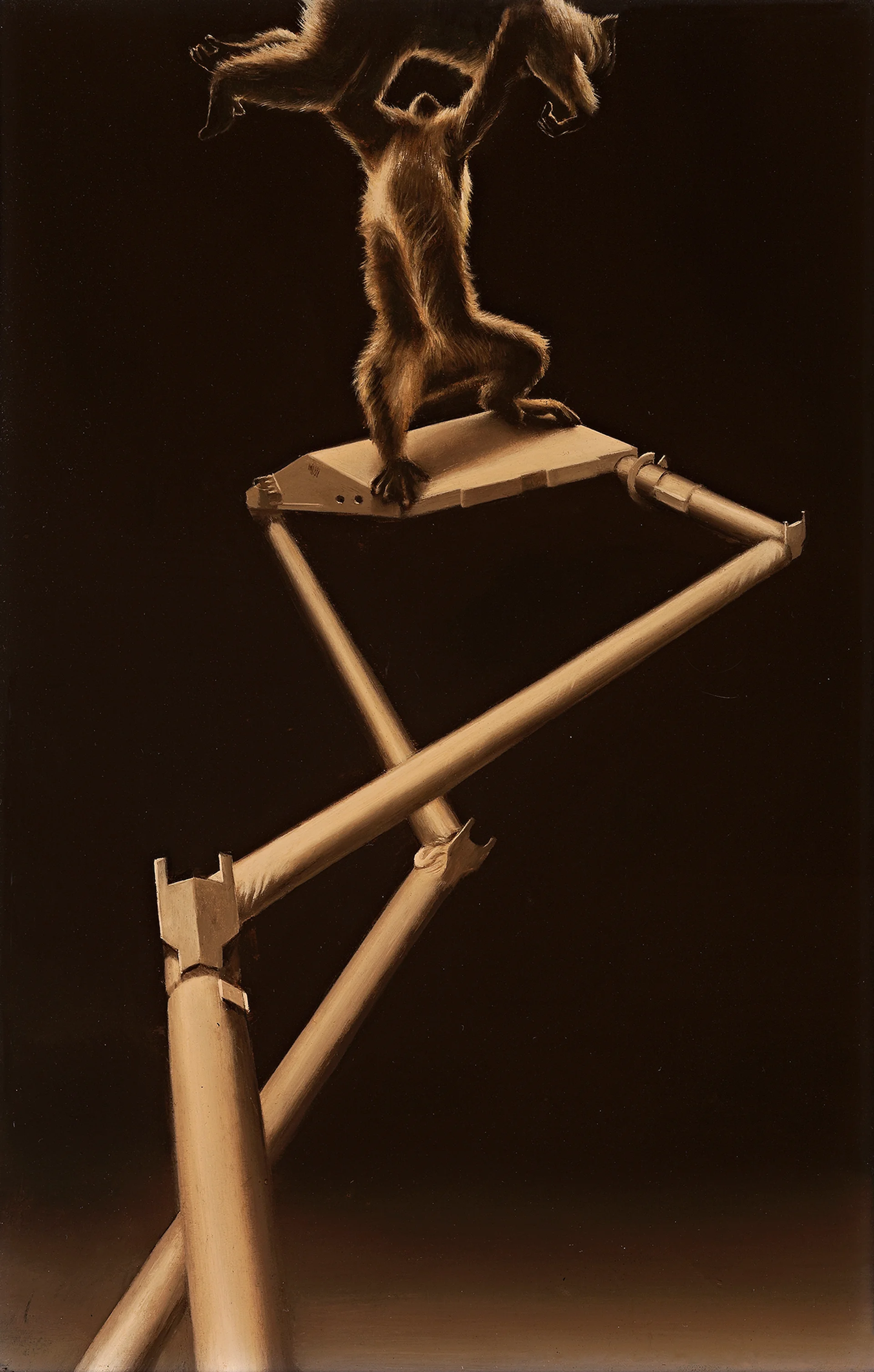 THE LIFT