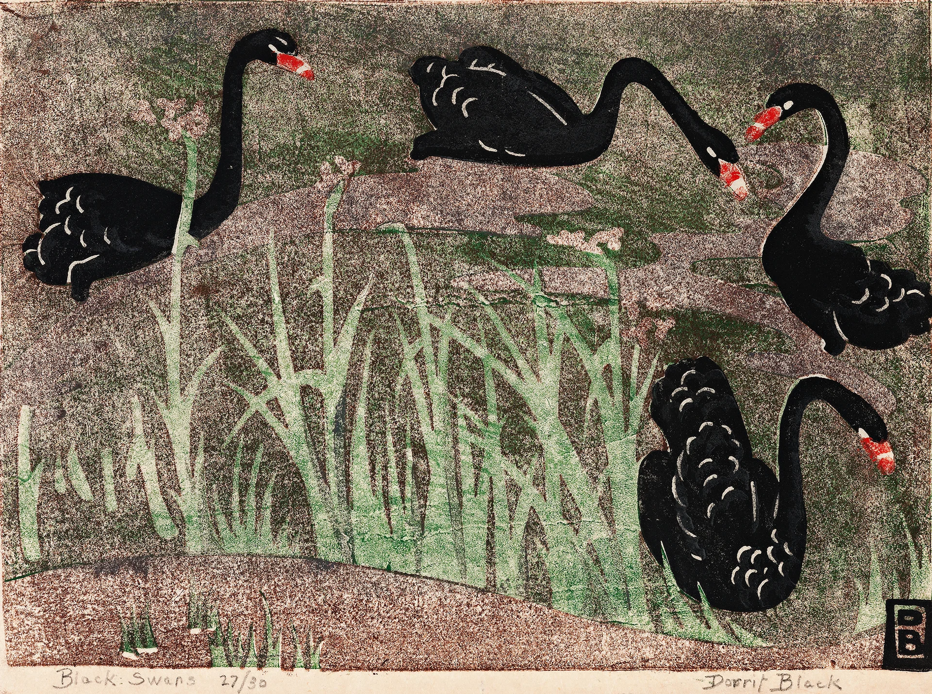 BLACK SWANS