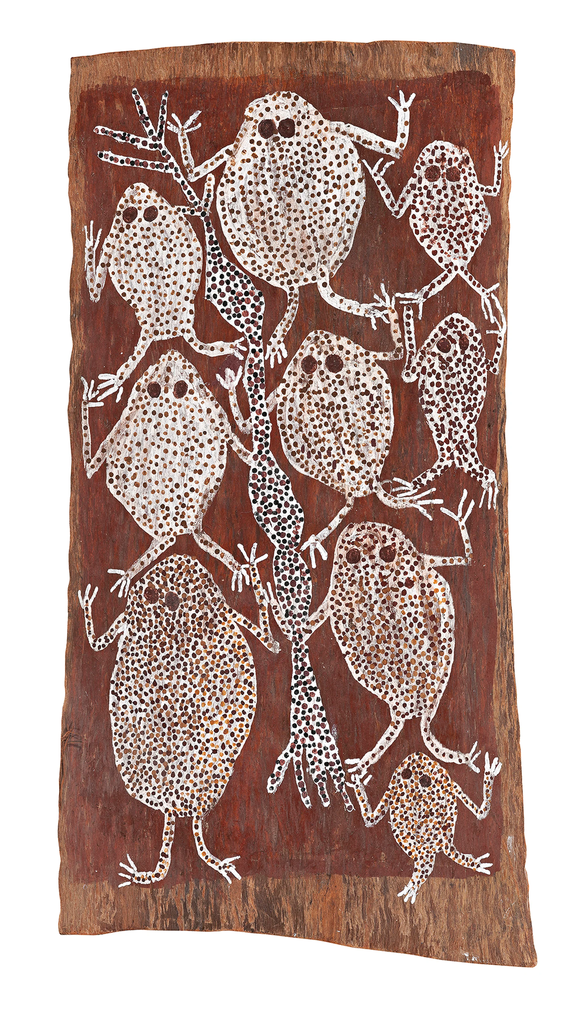 DJATI (FROGS)