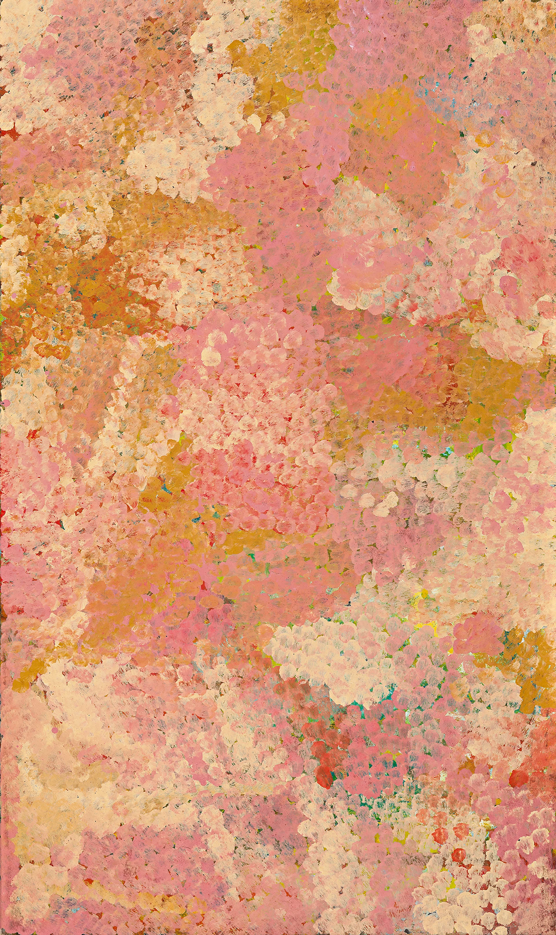 PINK ALALGURA