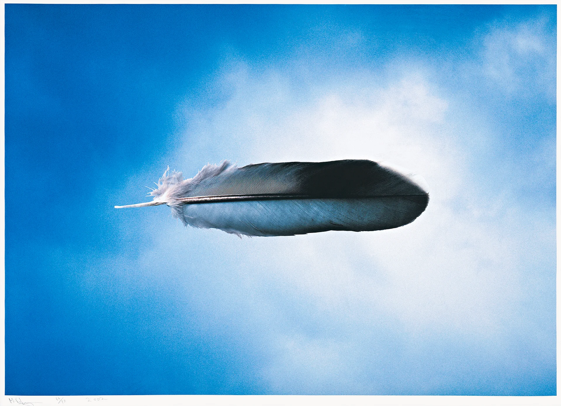UNTITLED (FEATHER), 2000, (CLOUD SERIES), printed