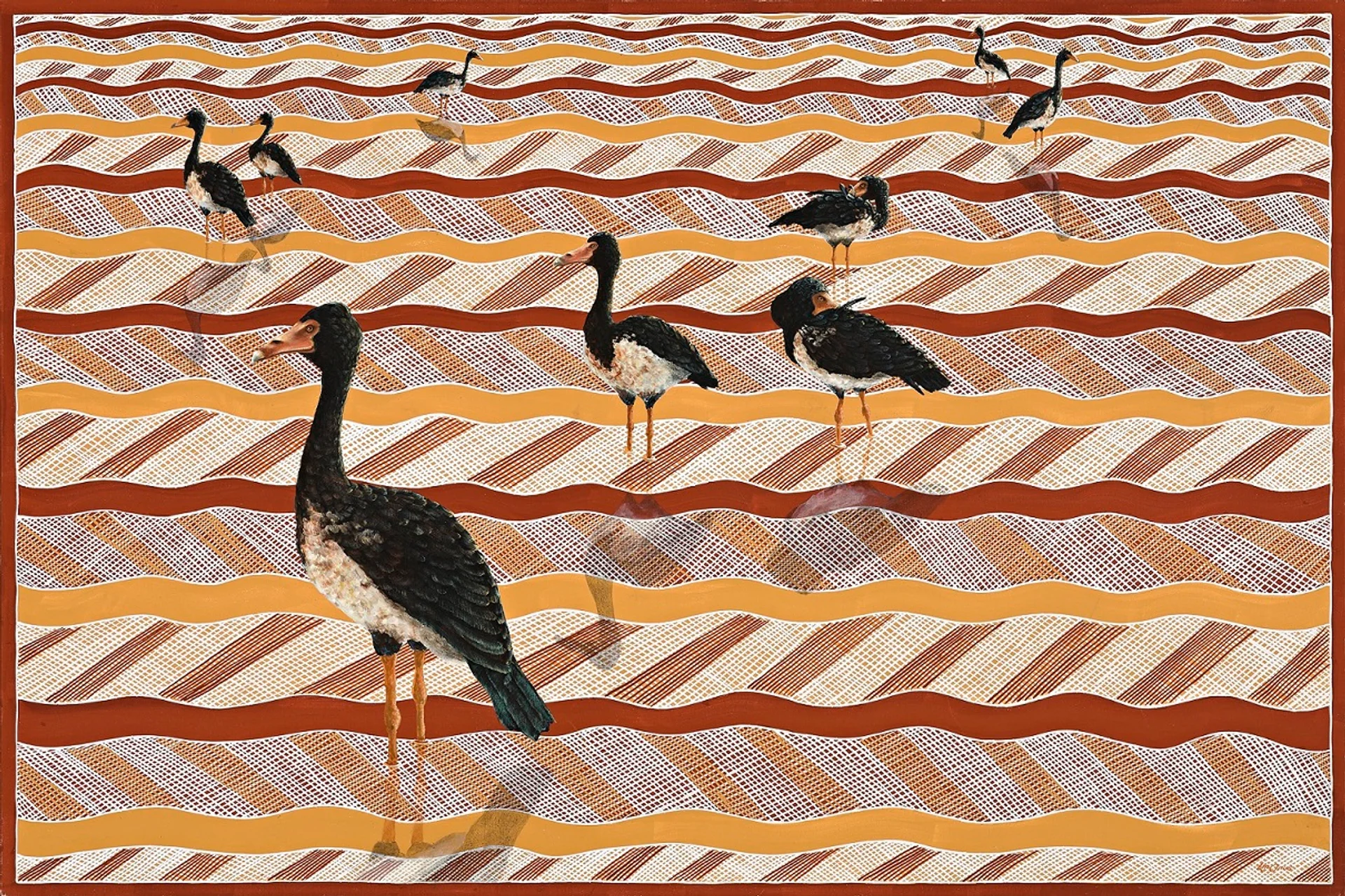GUMINGI (MAGPIE GEESE)