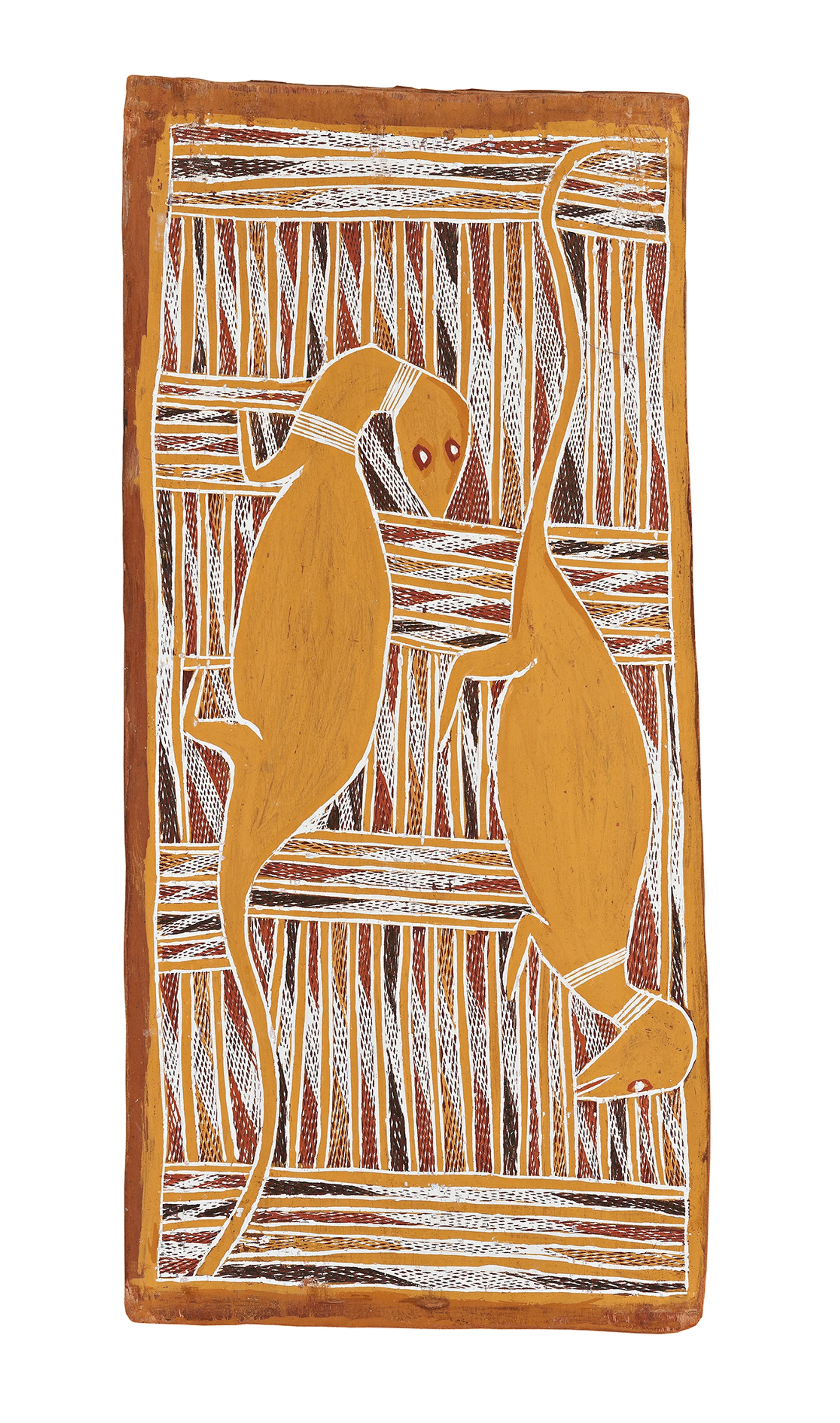 DJANDA (GOANNAS)