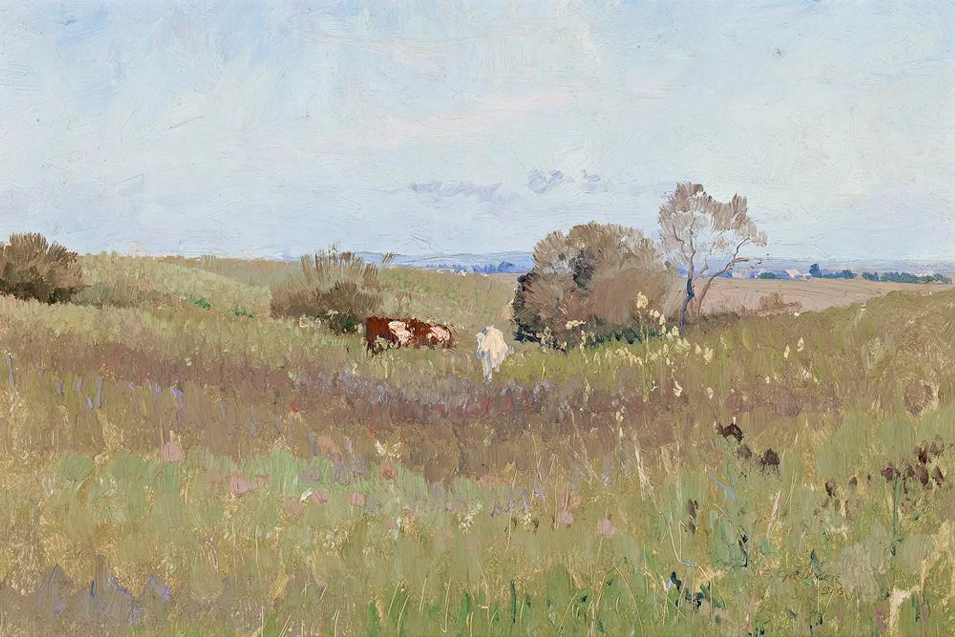 UNPLOUGHED FIELD