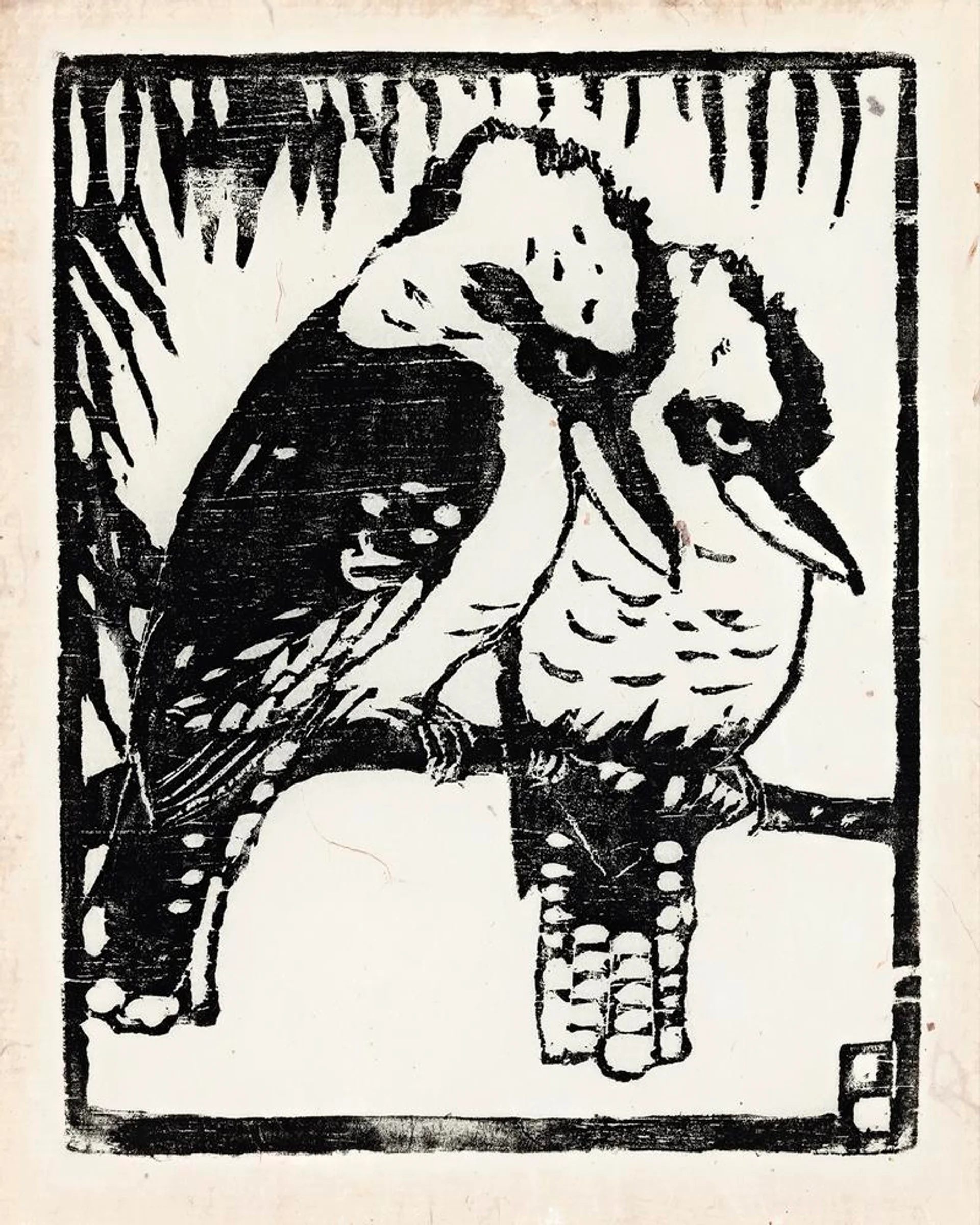 KOOKABURRAS