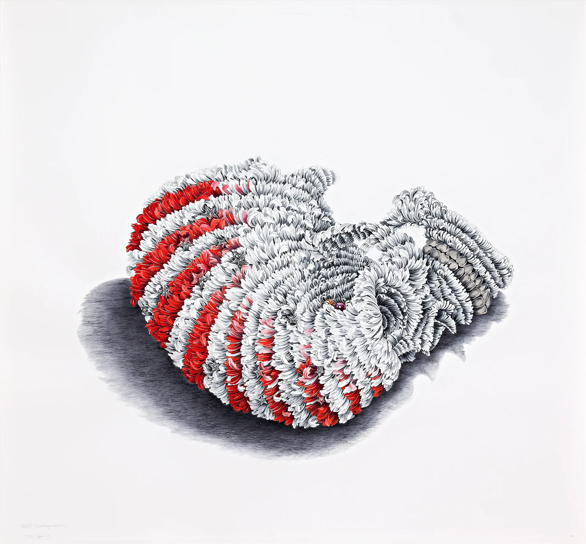 HELMET’S SKULL