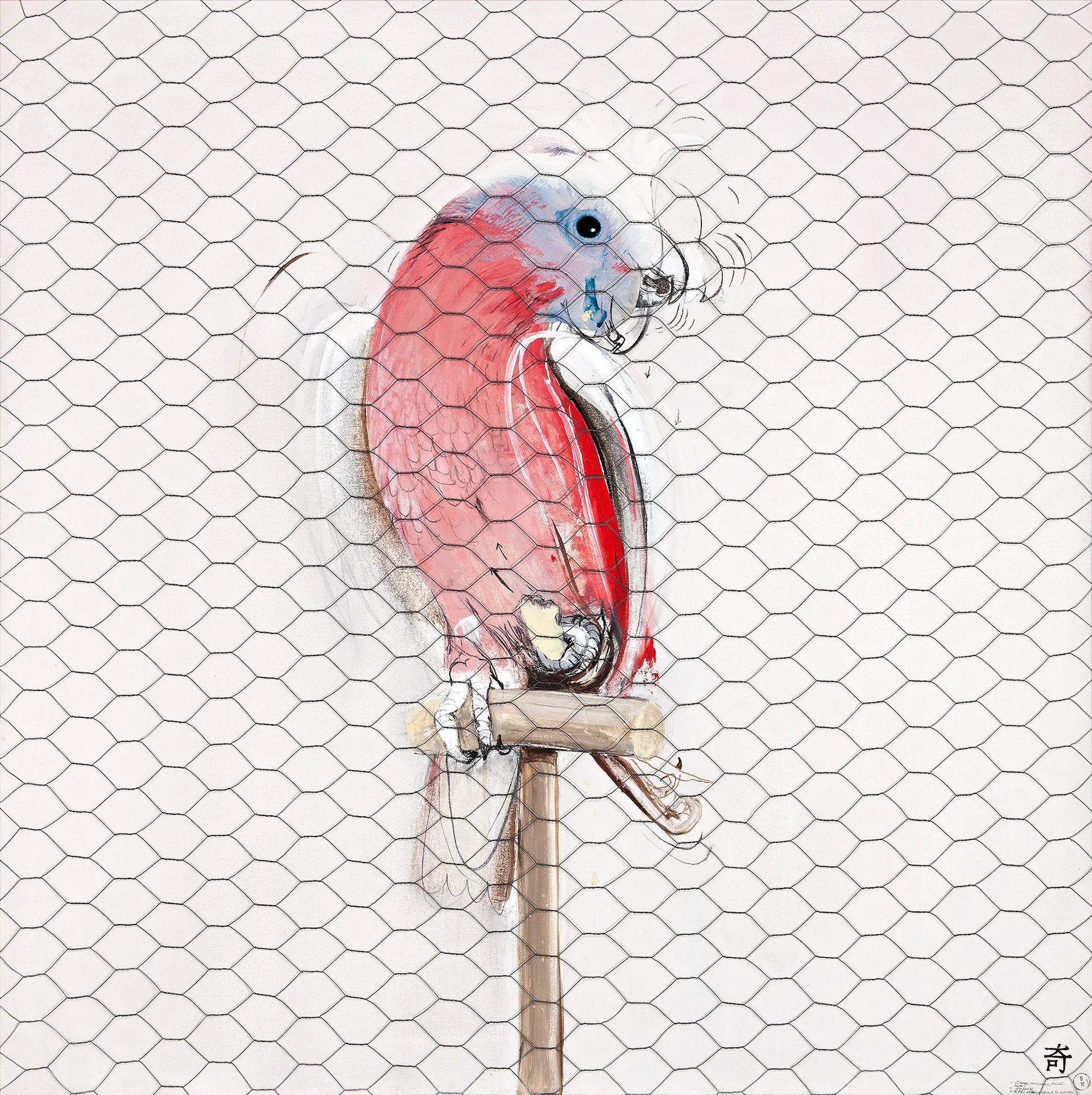 GALAH