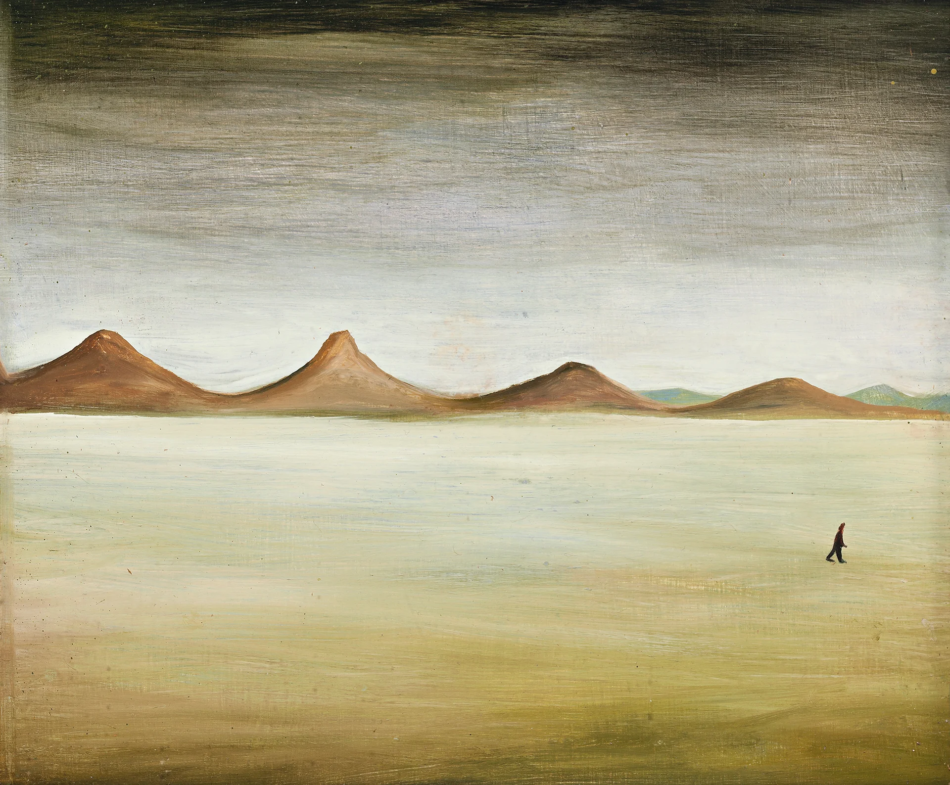 MAN IN LANDSCAPE
