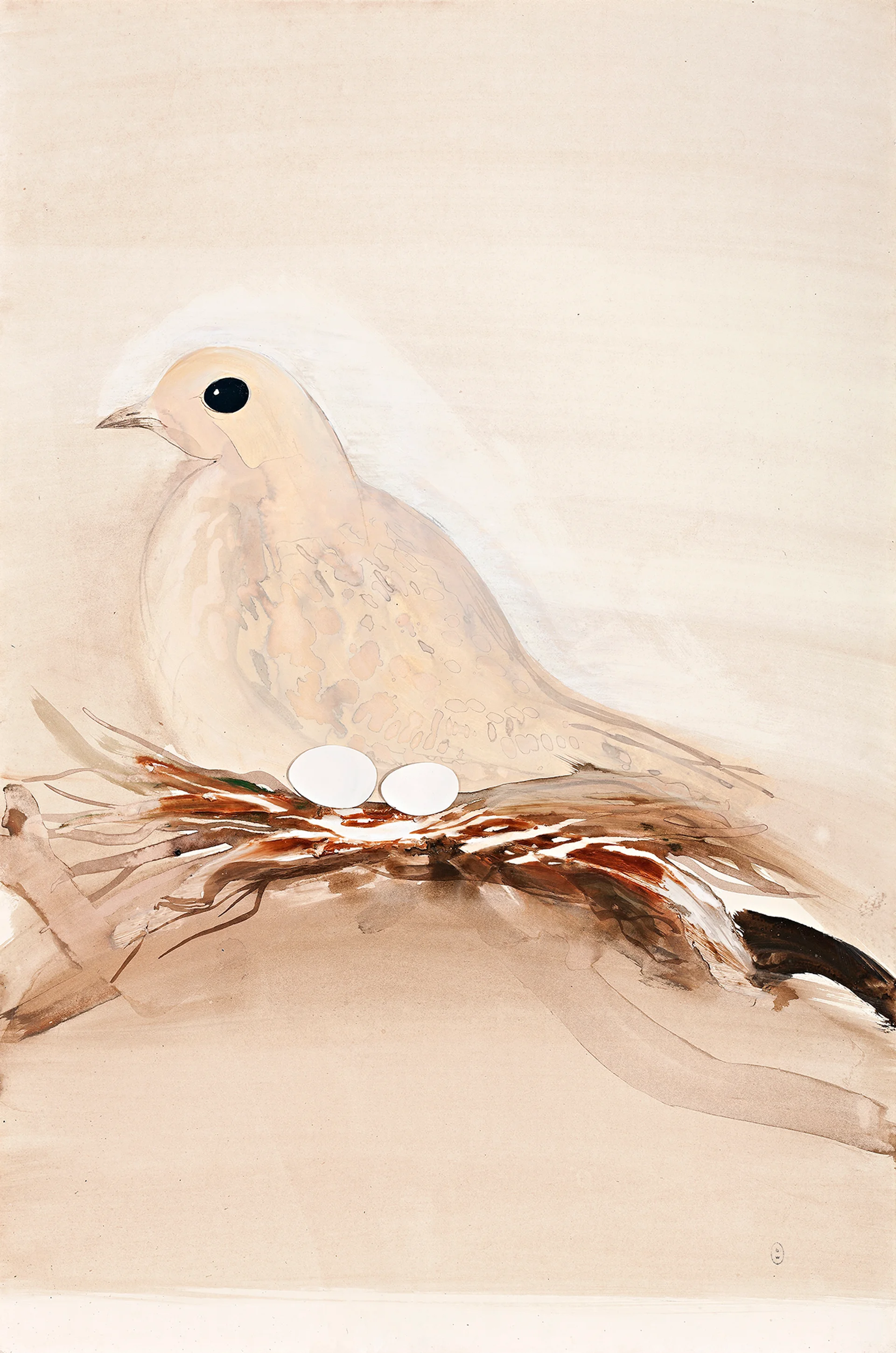 THE PINK DOVE I