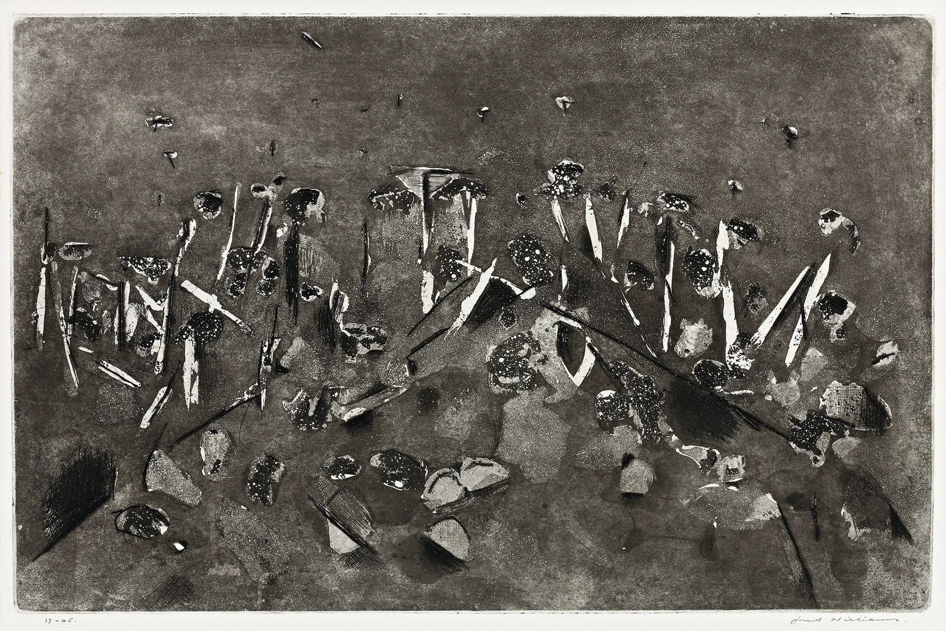 KNOLL IN THE YOU YANGS, 1963 – 64