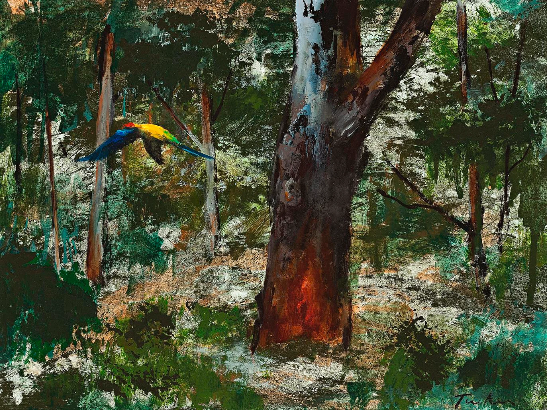 PARROTS IN THE BUSH