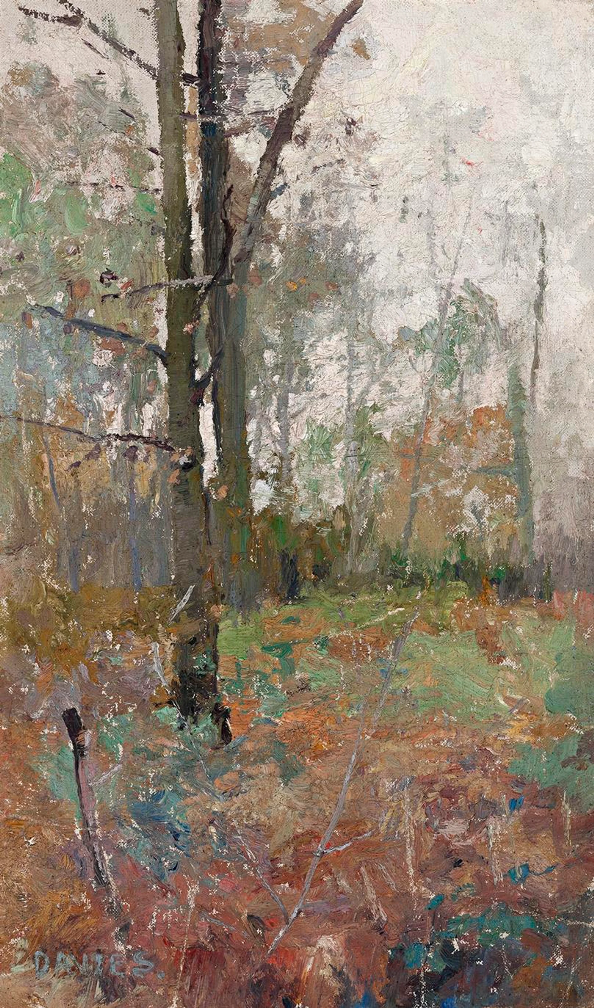 AUTUMN