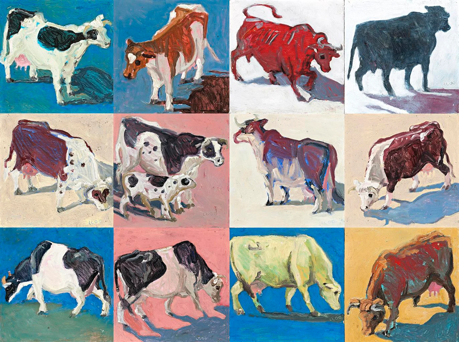 COWS AND BULLS