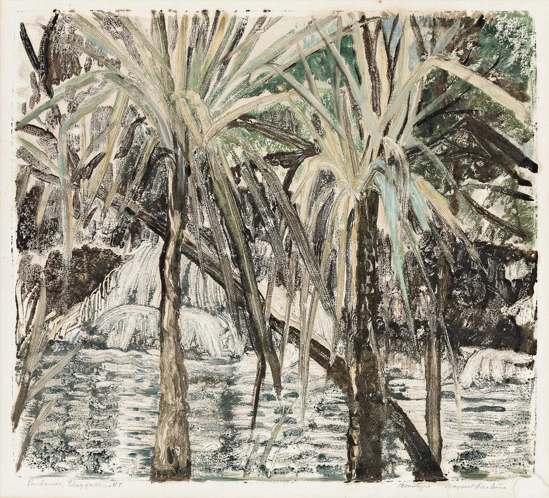 PANDANUS, ELSEY FALLS
