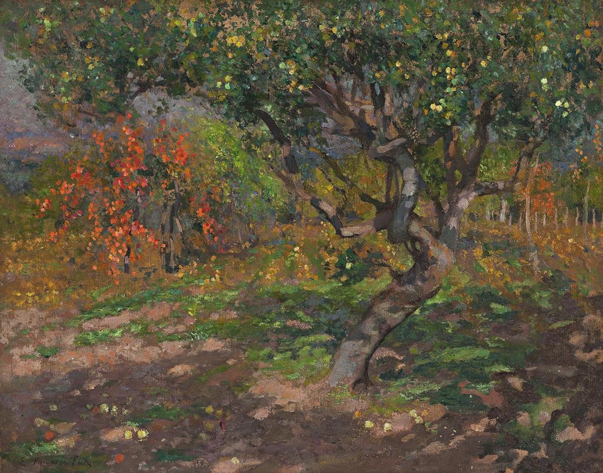 APPLE TREES