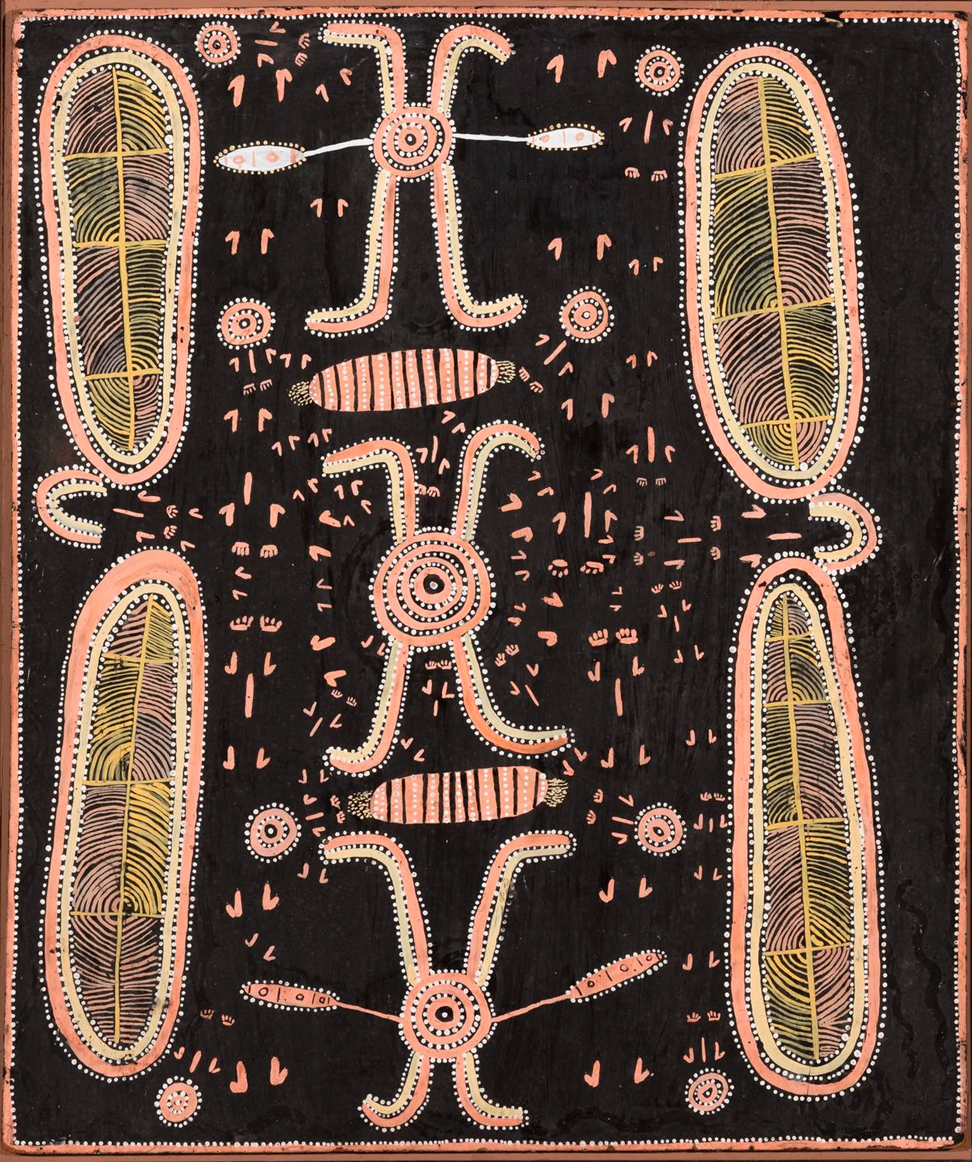MALA (SPINIFEX WALLABY)