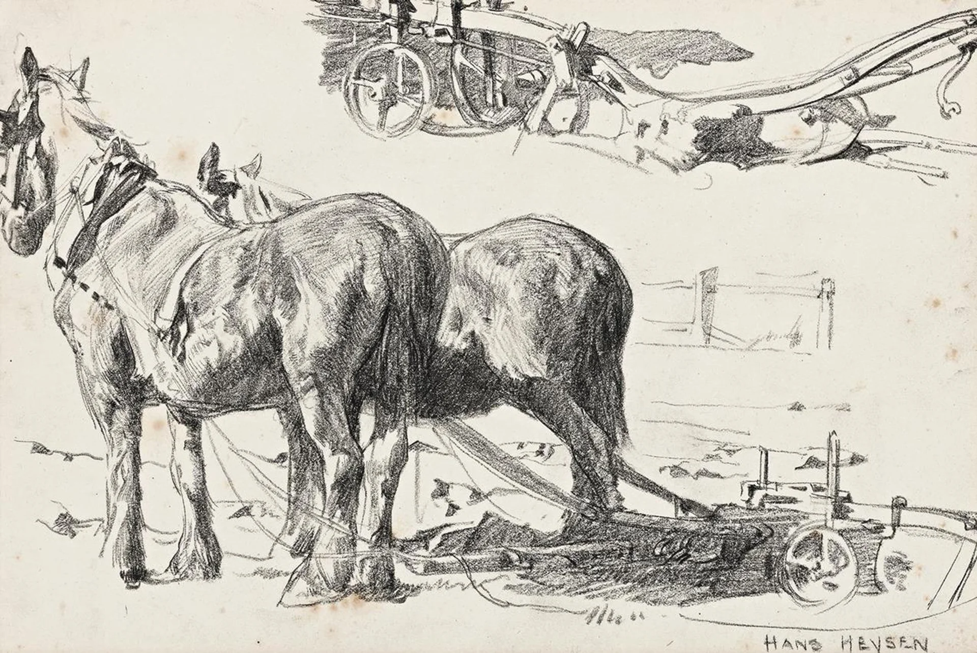 DRAUGHT HORSES (POLLY AND JACK)