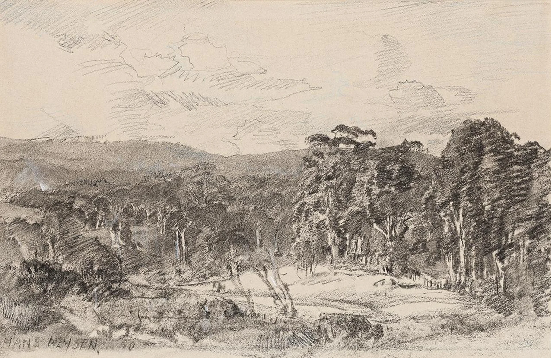 EDGE OF THE CLEARING