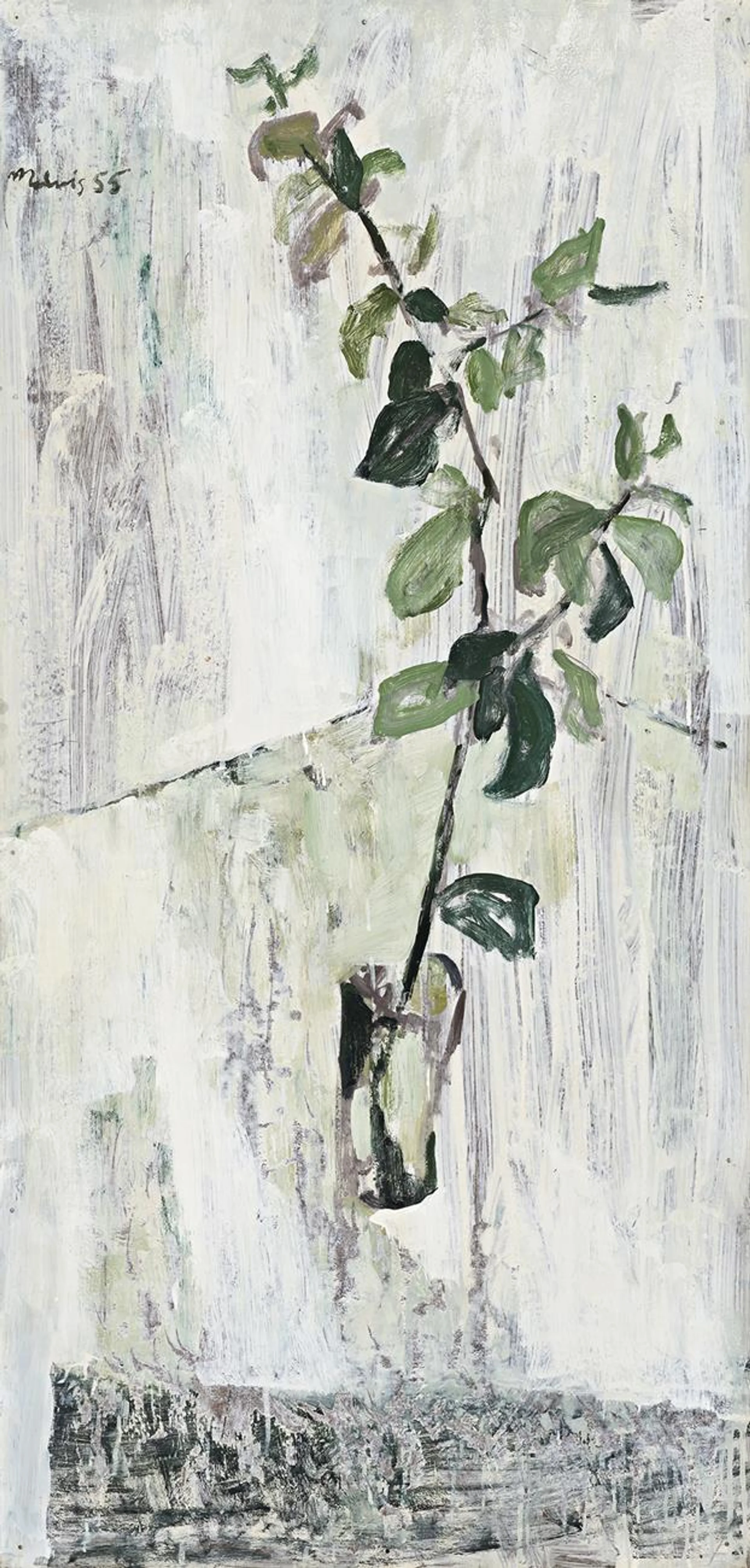 BRANCH OF A TREE