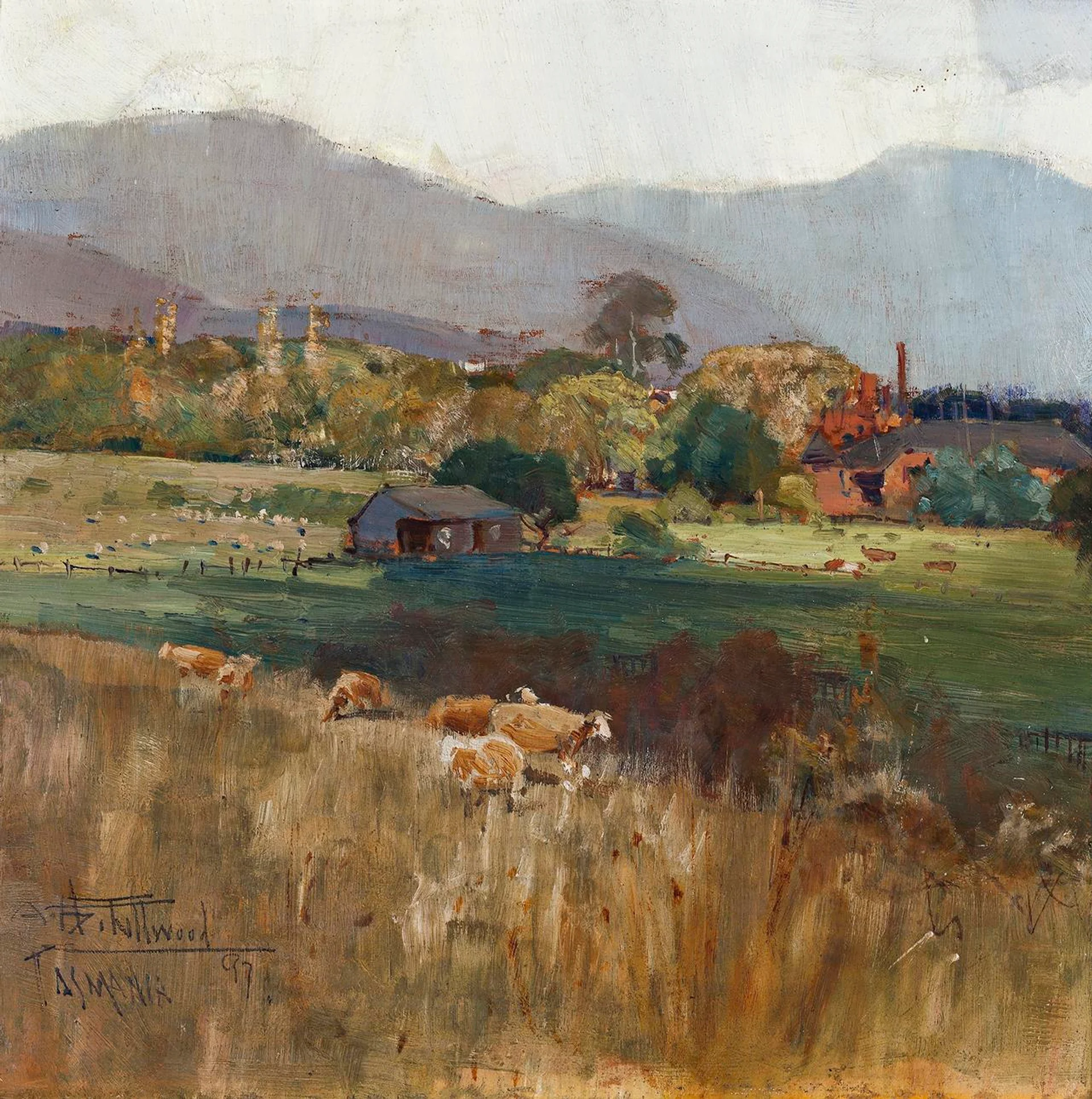 NEW TOWN, TASMANIA