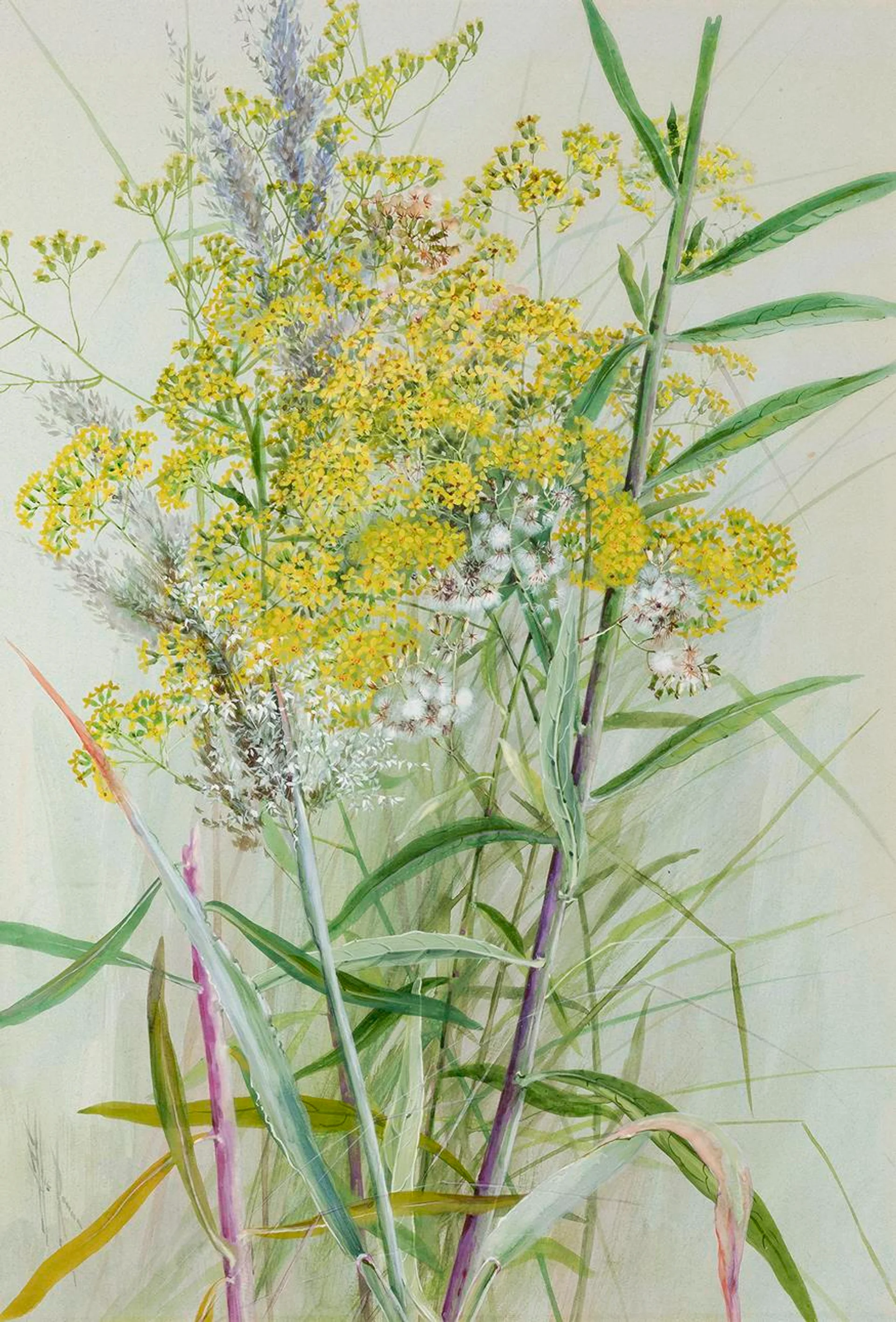 GOLDENROD AND GRASSES