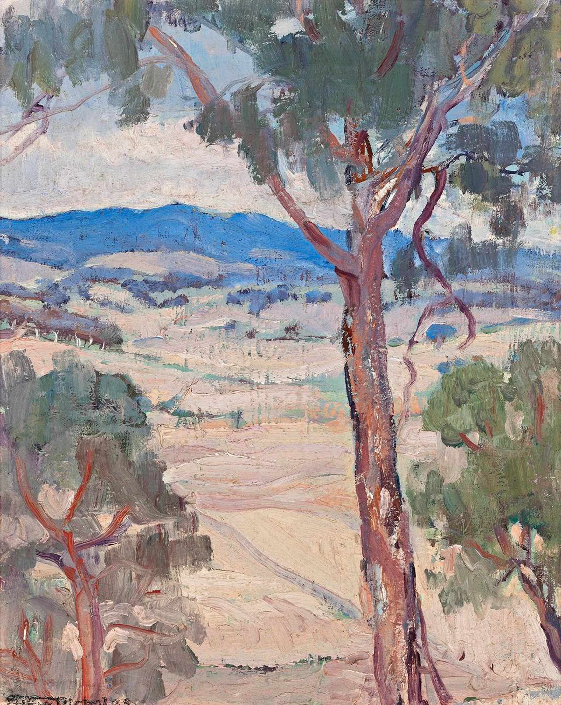 MONARO LANDSCAPE