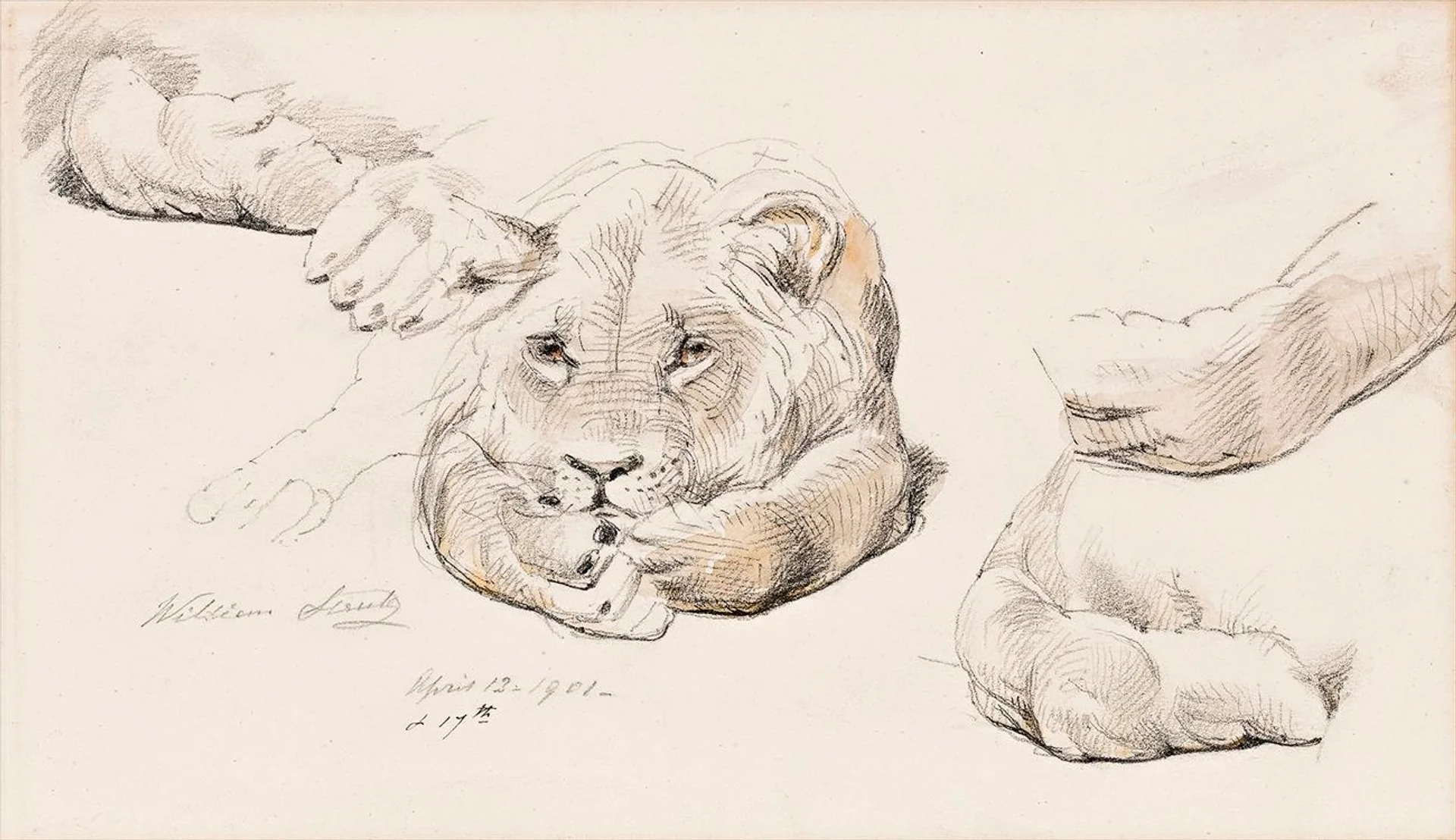 A COLLECTION OF NINE STUDIES