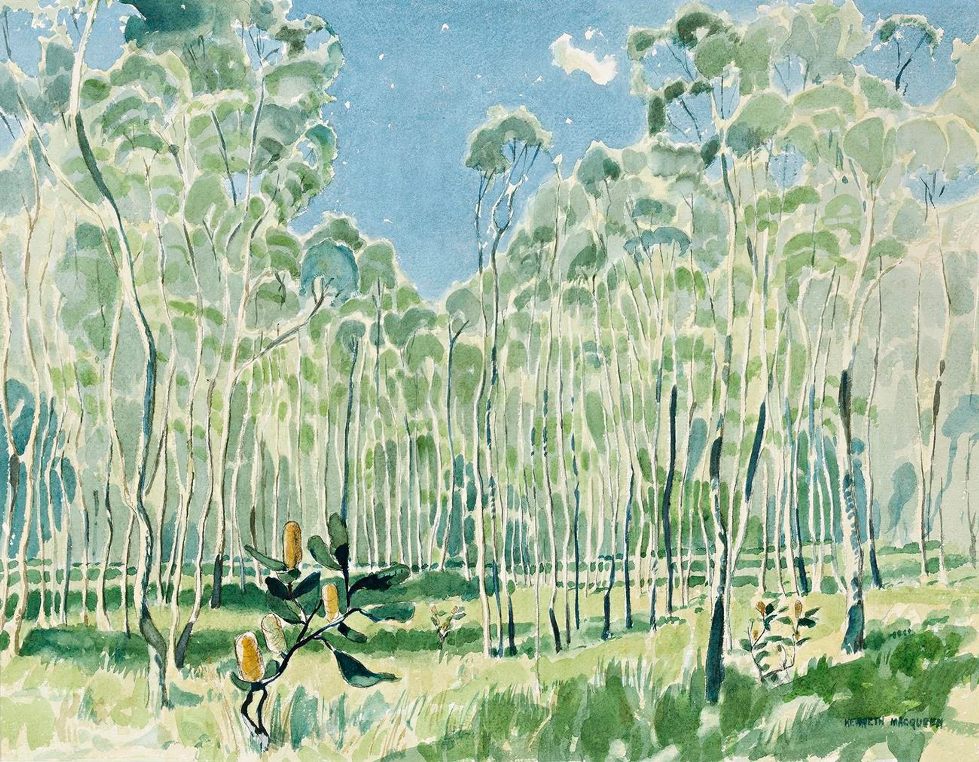 AMONGST THE PAPERBARKS