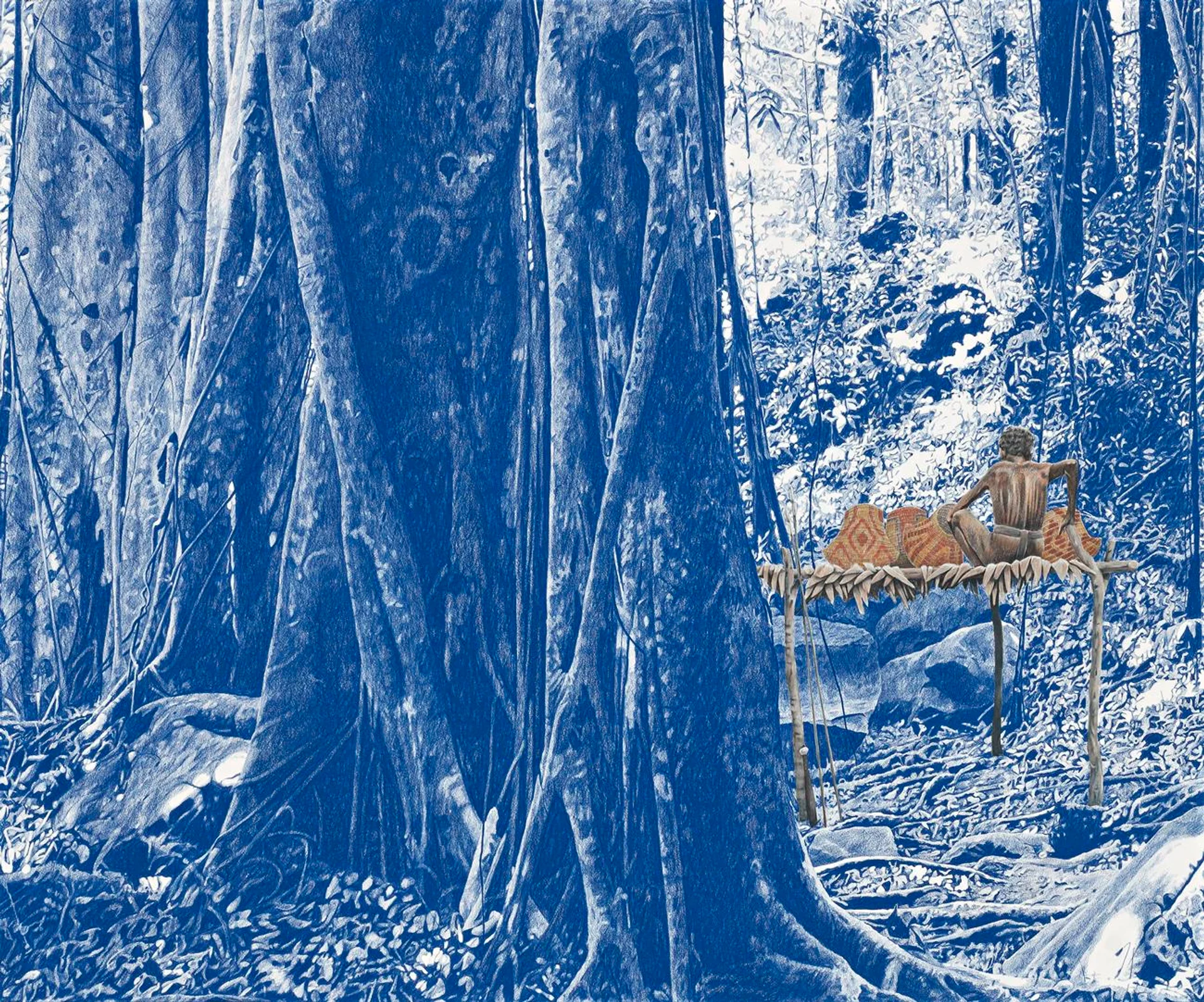 BAYI DAMBUN (GLADES OF DUSK AND SHADE)